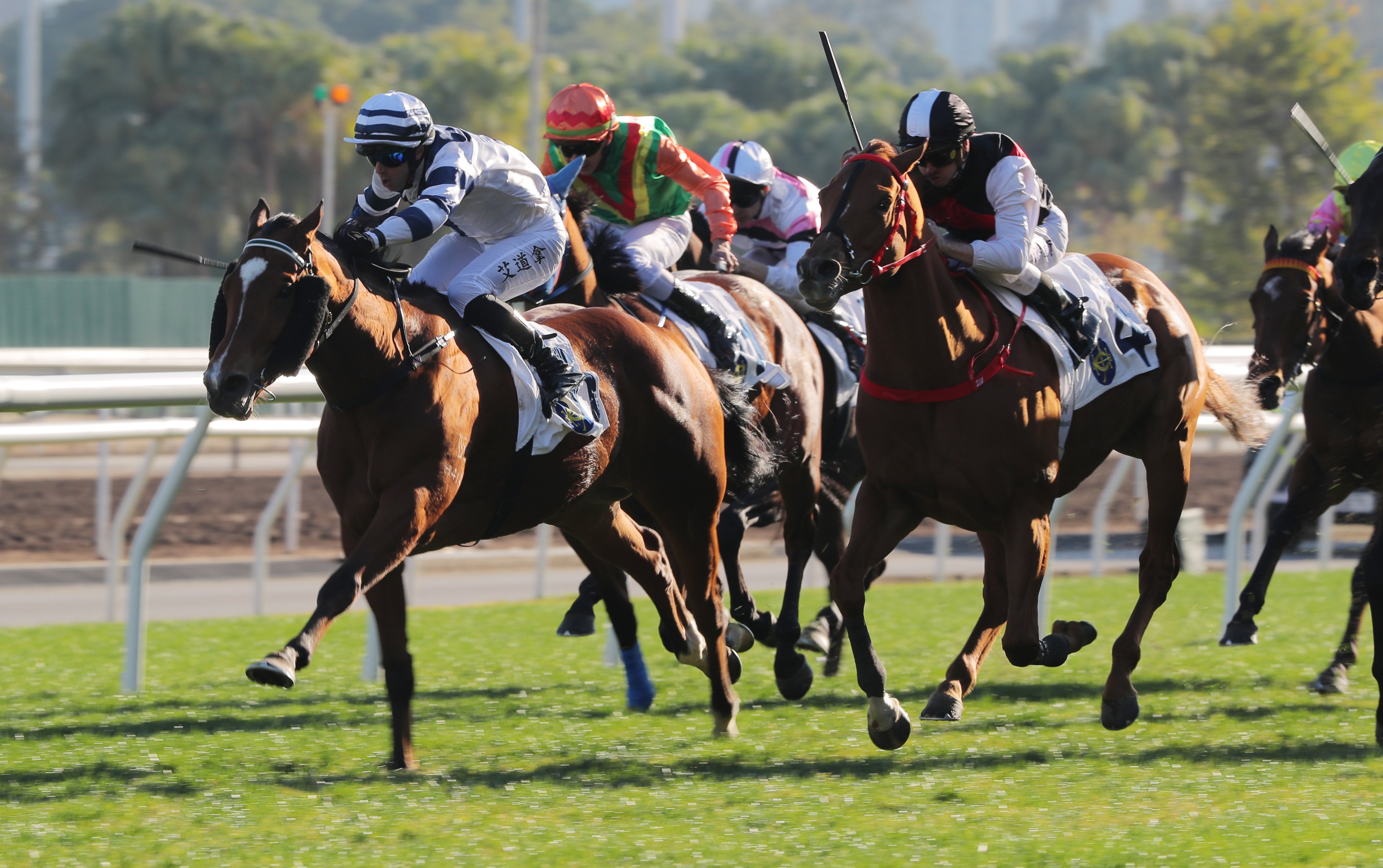 Rubylot (left) gets the better of Young Champion to win Sunday’s The Racing Club Cup at Sha Tin. Photos: Kenneth Chan