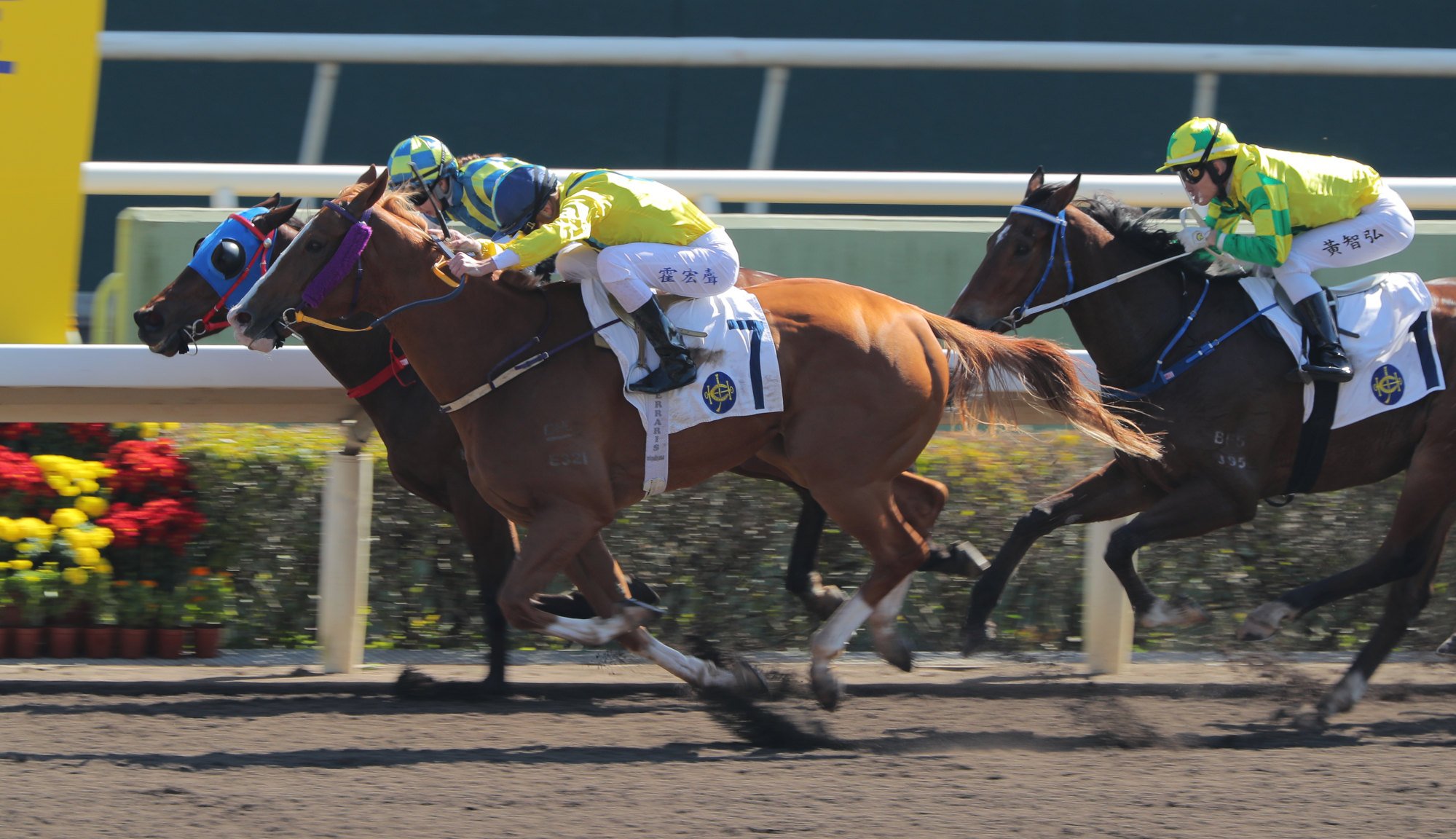 Excellent Daddy (outside) lunges at Patch Of Watch to win.