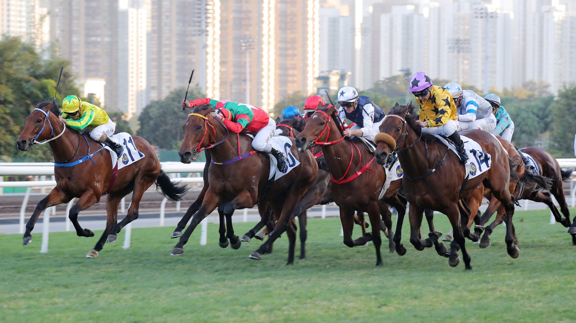 Dragon Joy erupts down the outside to beat Markwin (green and red colours) and Fast Network (white and blue).