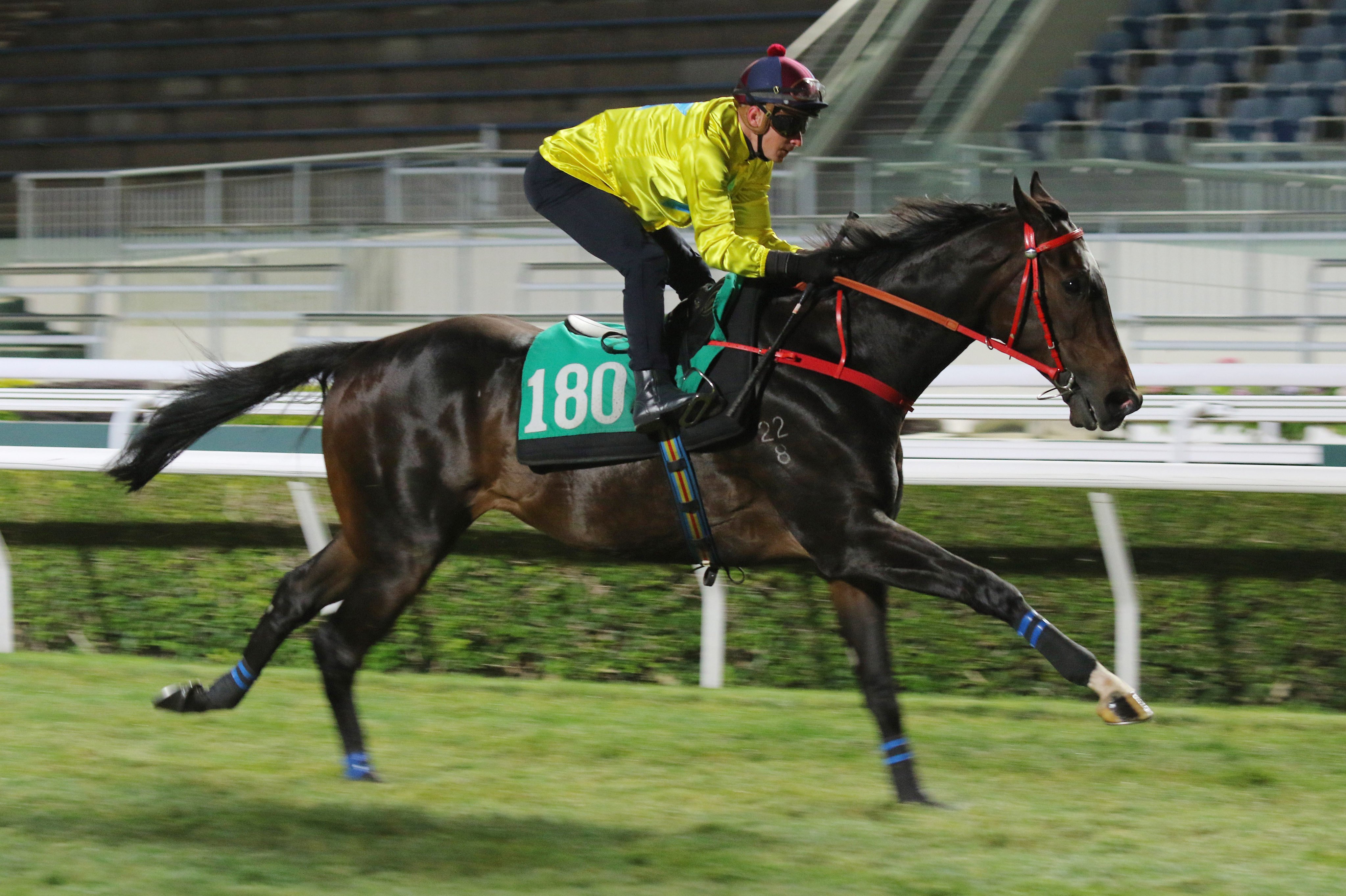 Lucky Sweynesse in action at the Sha Tin trials on December 17. Photos: Kenneth Chan