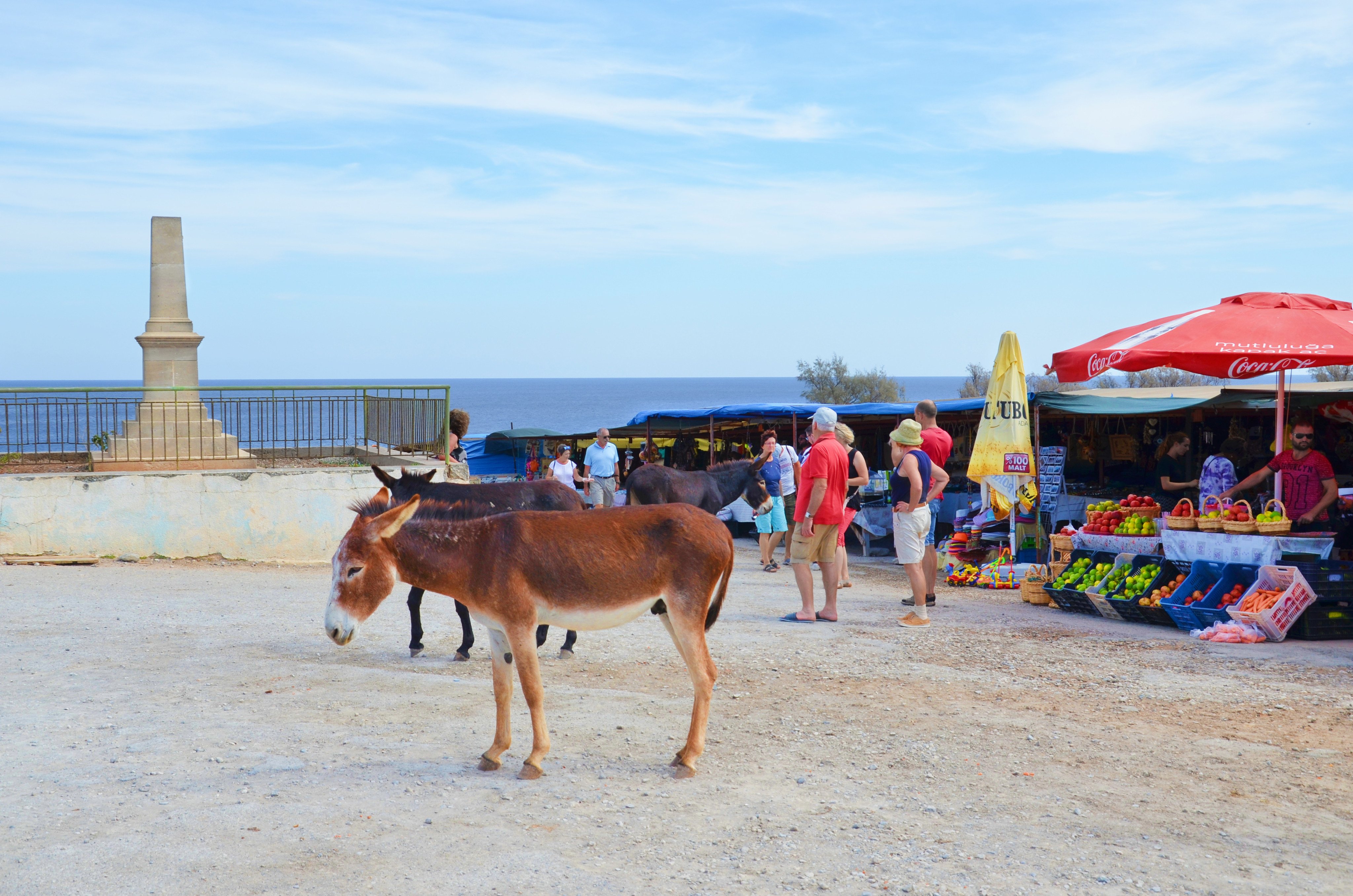 Wild donkeys stroll on a sandy street in Dipkarpaz, in Northern Cyprus, as tourists walk past fruit market stands. Only a few hundred thousand tourists venture to the Turkish-Cypriot north every year. Photo: Shutterstock