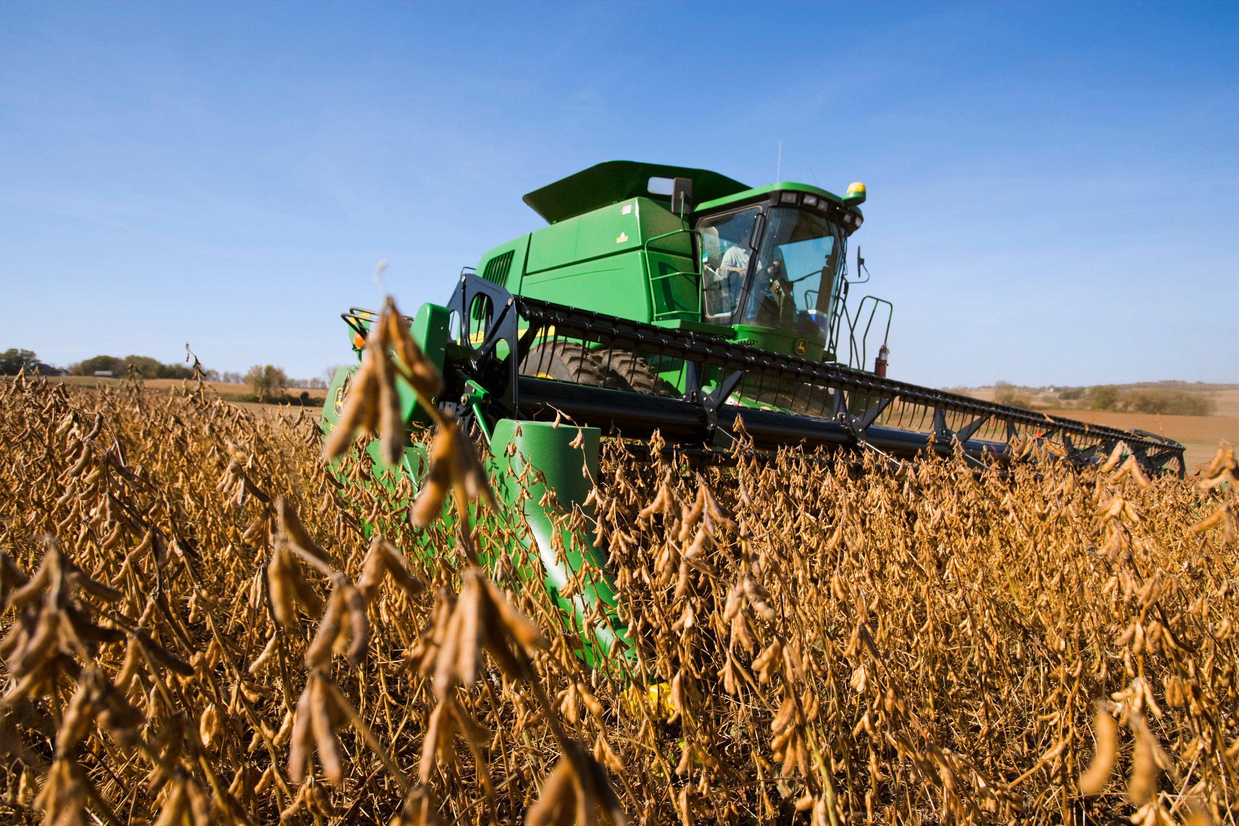 China is the world’s largest consumer of soybeans, but less of its supply has been coming from American farmers. Photo: Getty Images