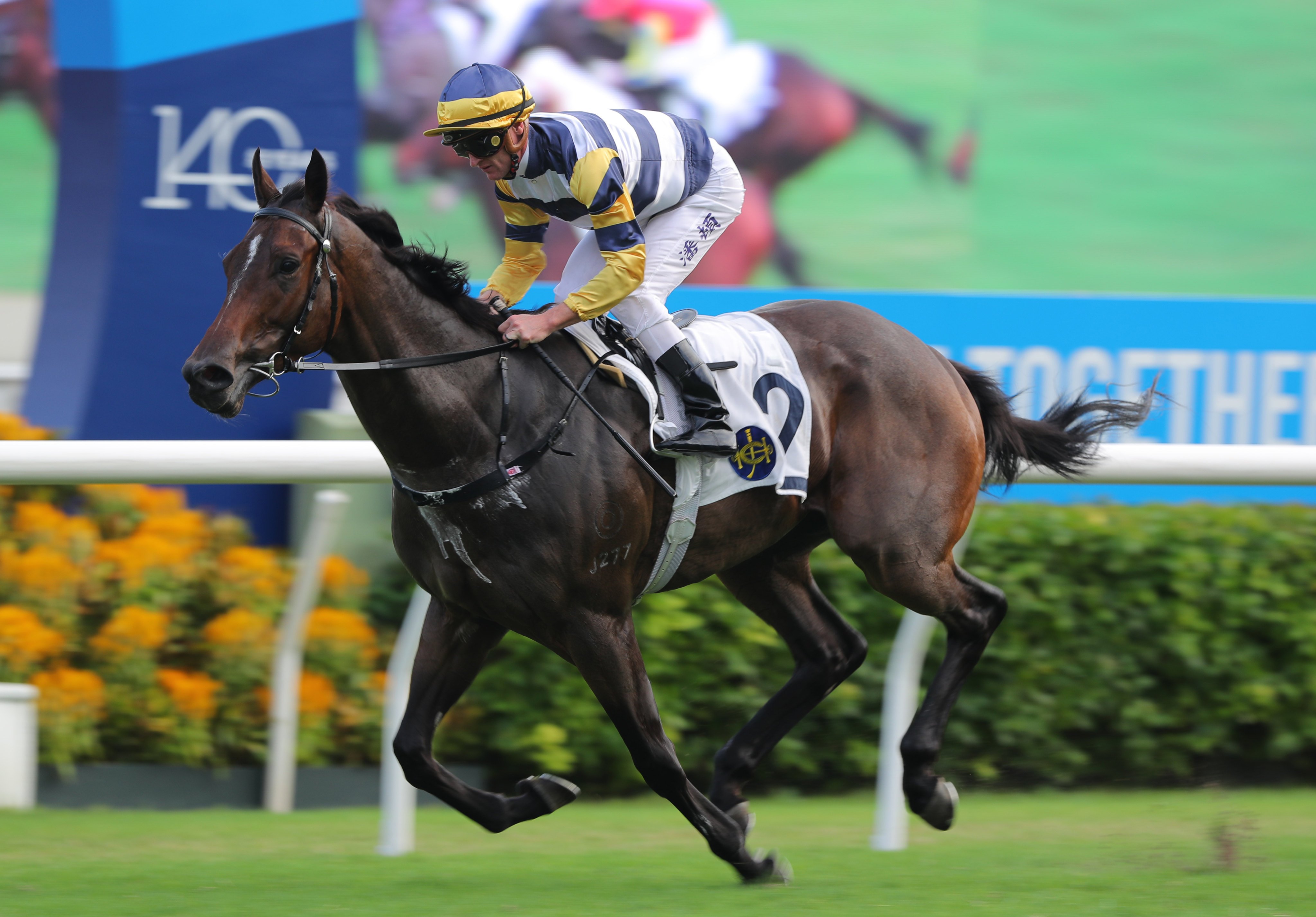 Zac Purton salutes aboard Packing Hermod in October. Photos: Kenneth Chan