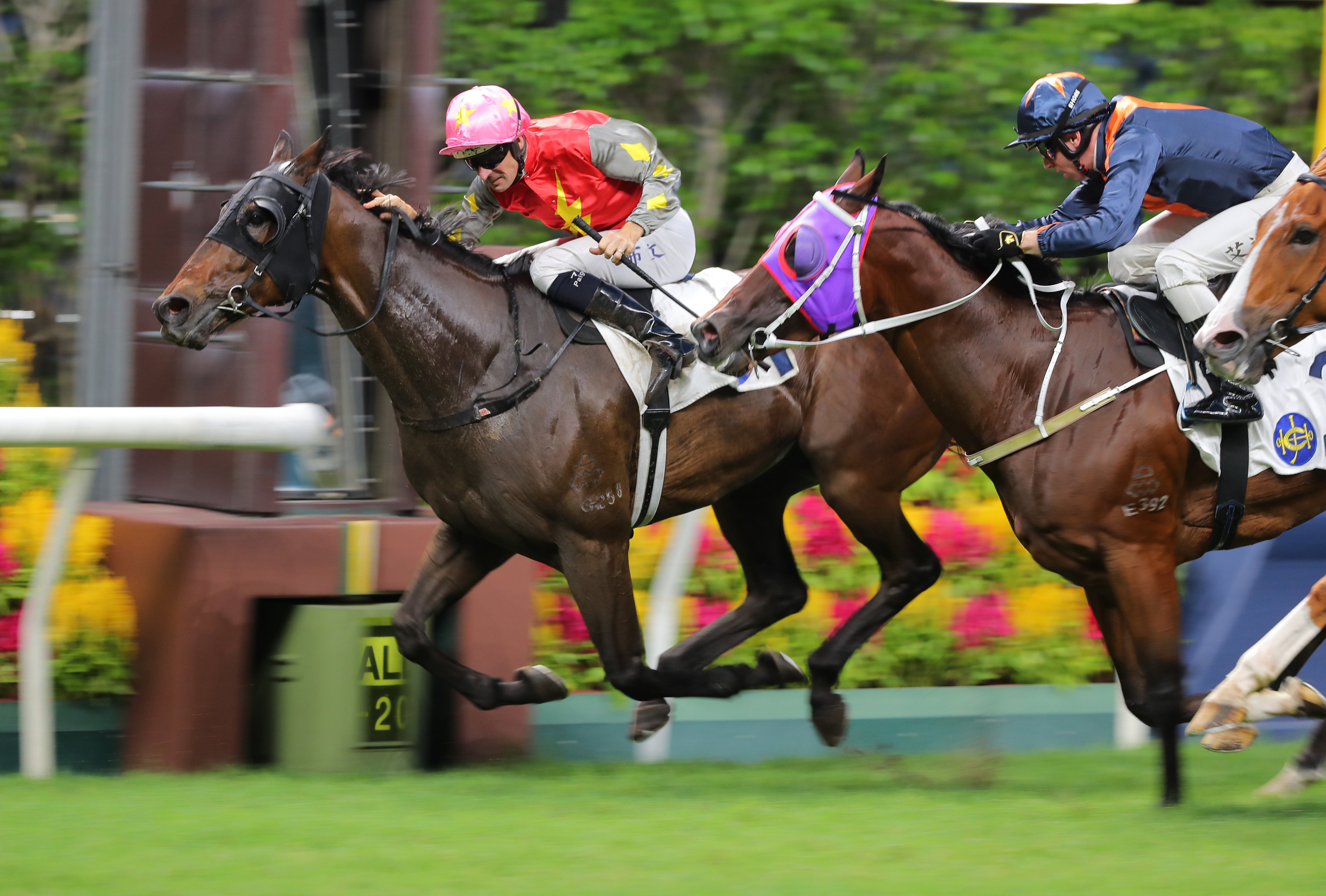 Hugh Bowman and Majestic Knight claim victory at Happy Valley in July. Photo: Kenneth Chan