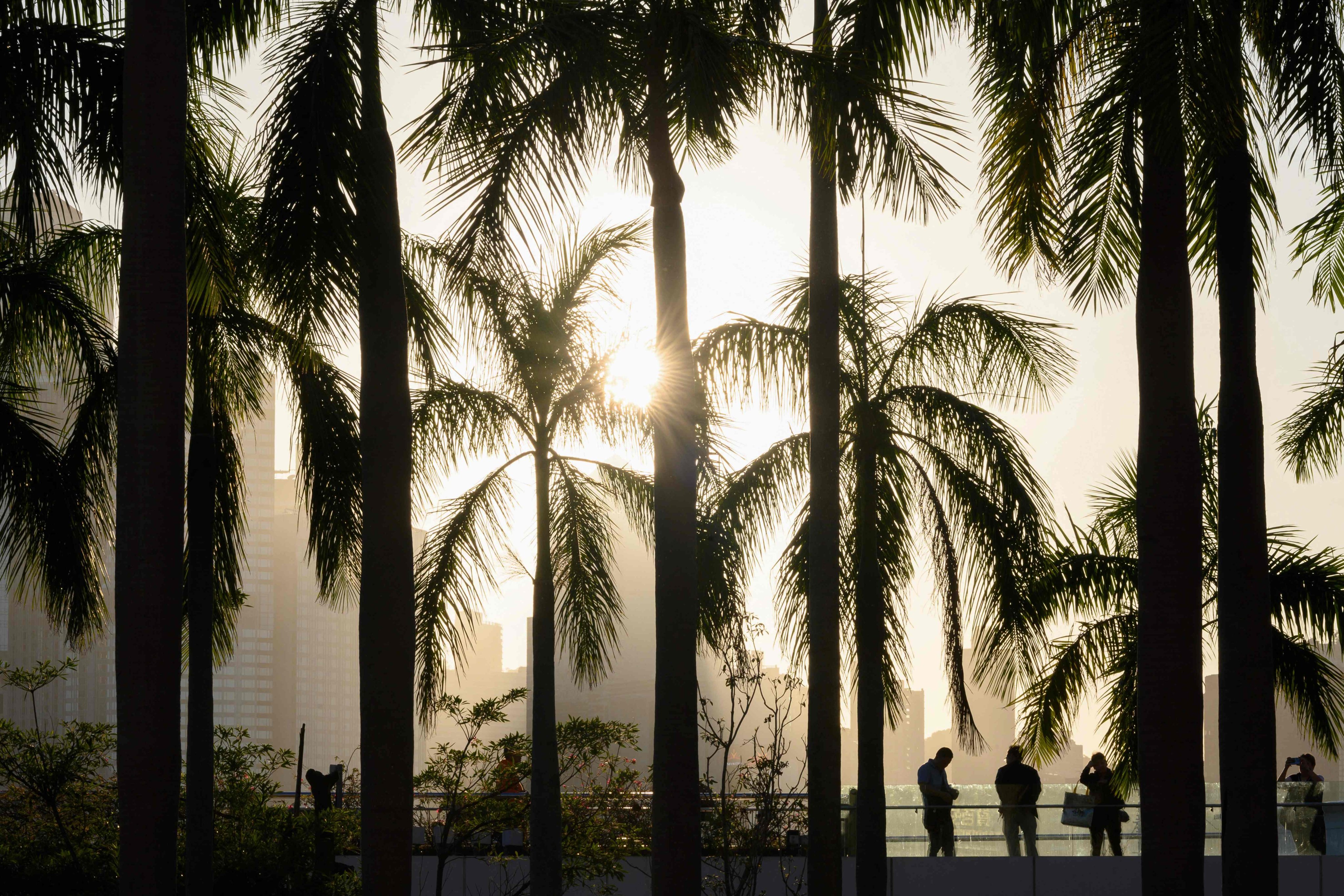 A view of the Hong Kong skyline from the Tsim Sha Tsui promenade on November 26. Photo: AFP 