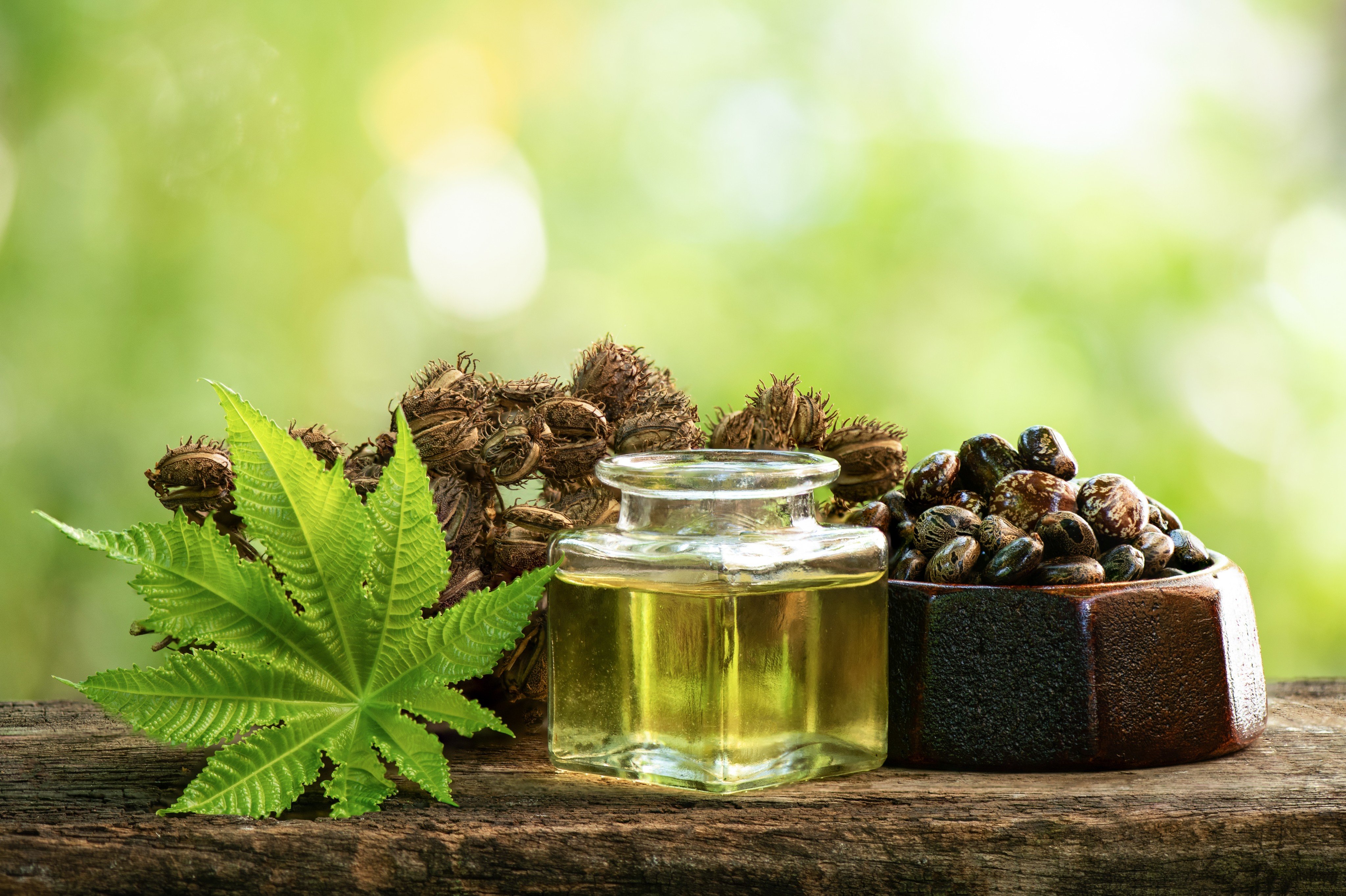 Castor oil has long been used as a health and beauty product, and has gained a lot of attention online recently.
Photo: Shutterstock