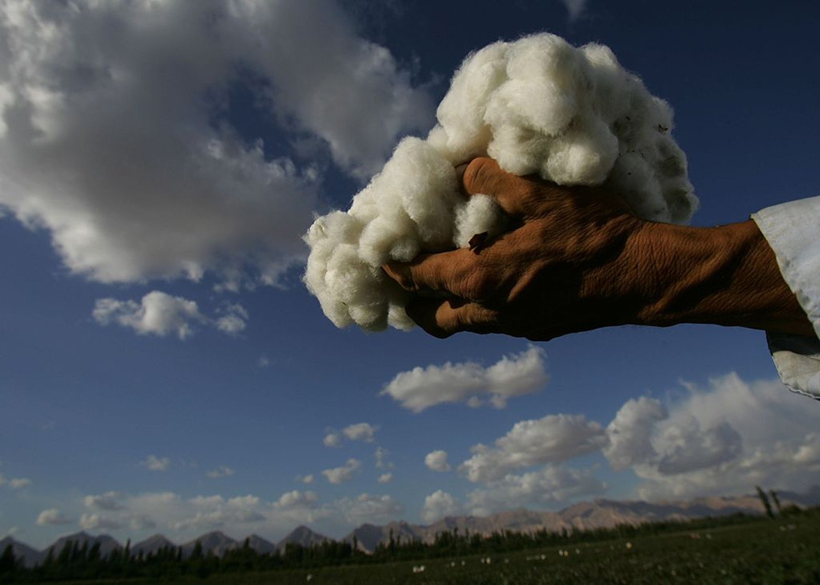 Xinjiang cotton has been in the global spotlight since 2020. Photo: Getty Images