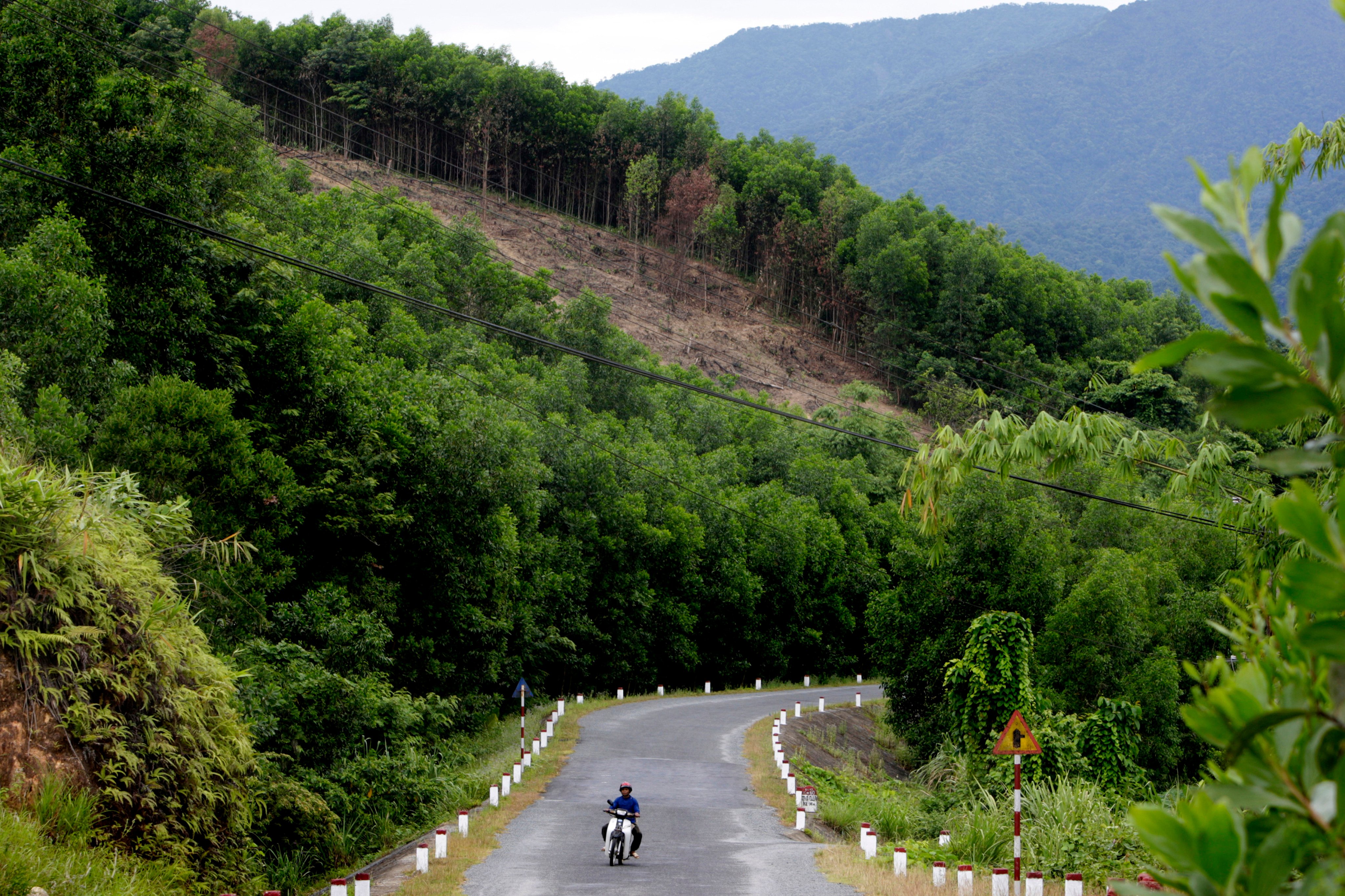 The highway near A Luoi, in central Vietnam. Photo: Getty Images