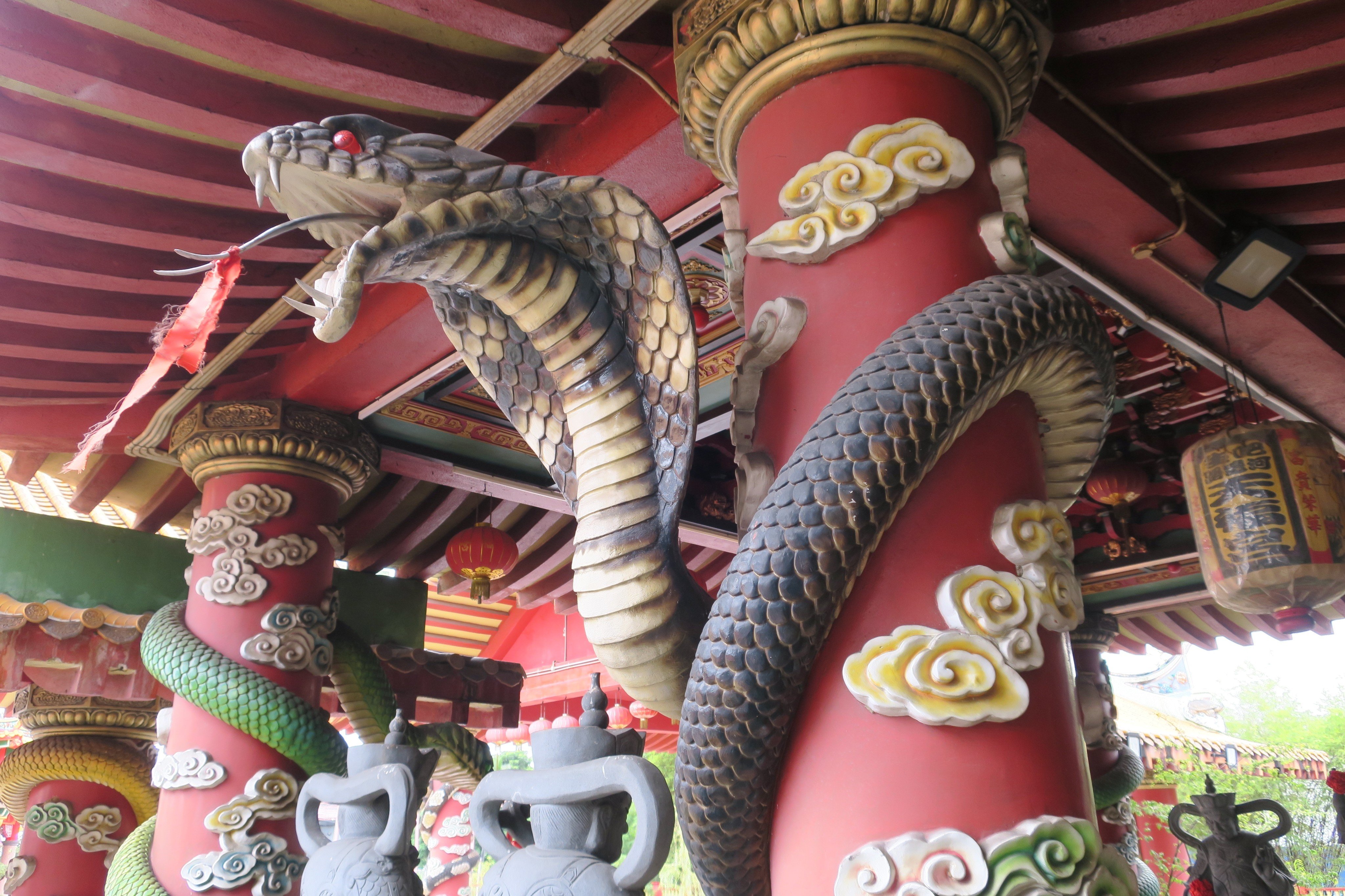 The Hock Kung snake temple in Selangor, Malaysia. In the coming Year of the Snake, certain people’s zodiac signs, including Snake, will be in conflict with the tai sui, or guardian deity, and precautions need taking. Photo: Shutterstock