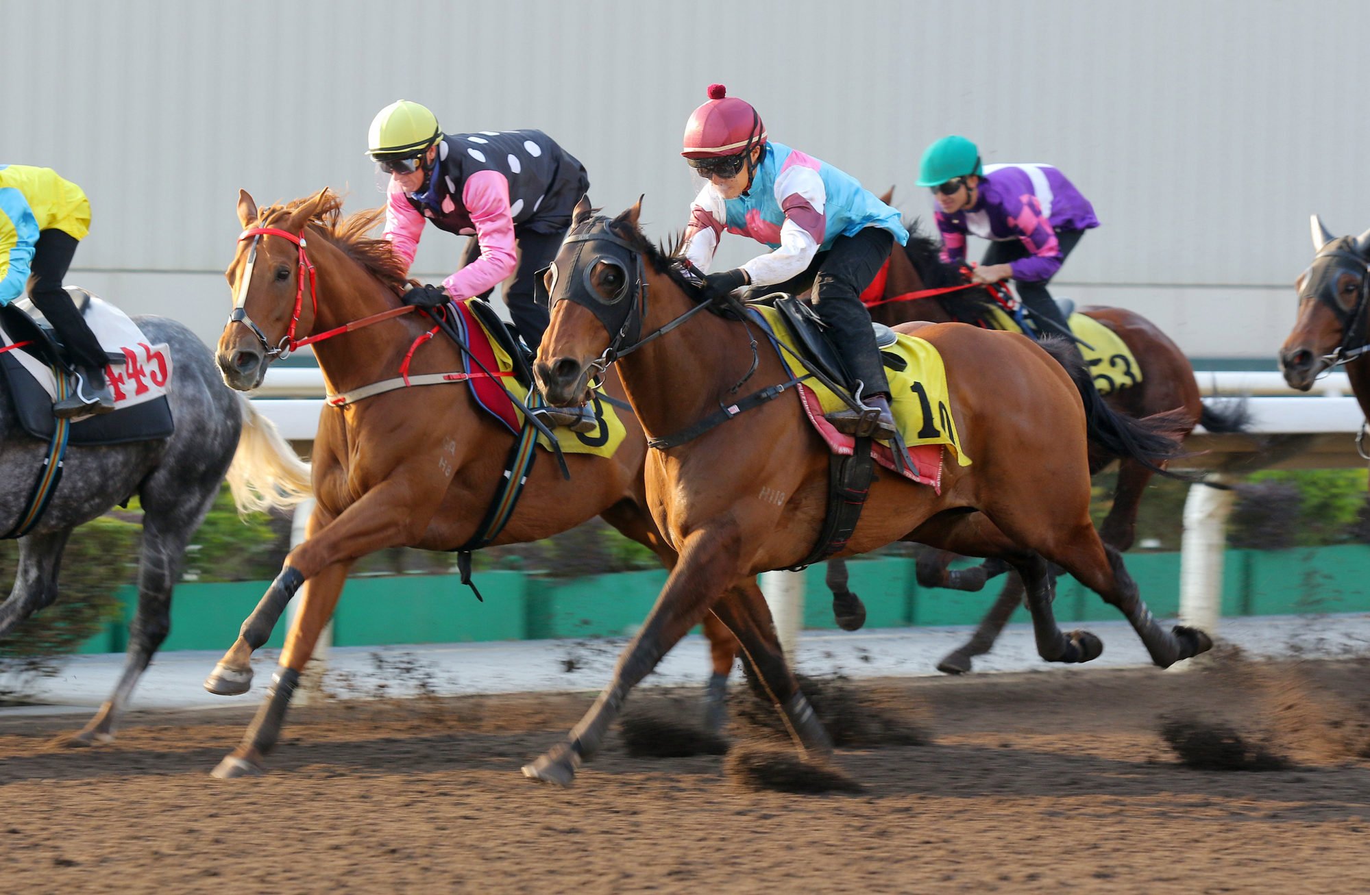 Beauty Eternal (pink sleeves) finishes a close third to Find My Love in a recent dirt trial.