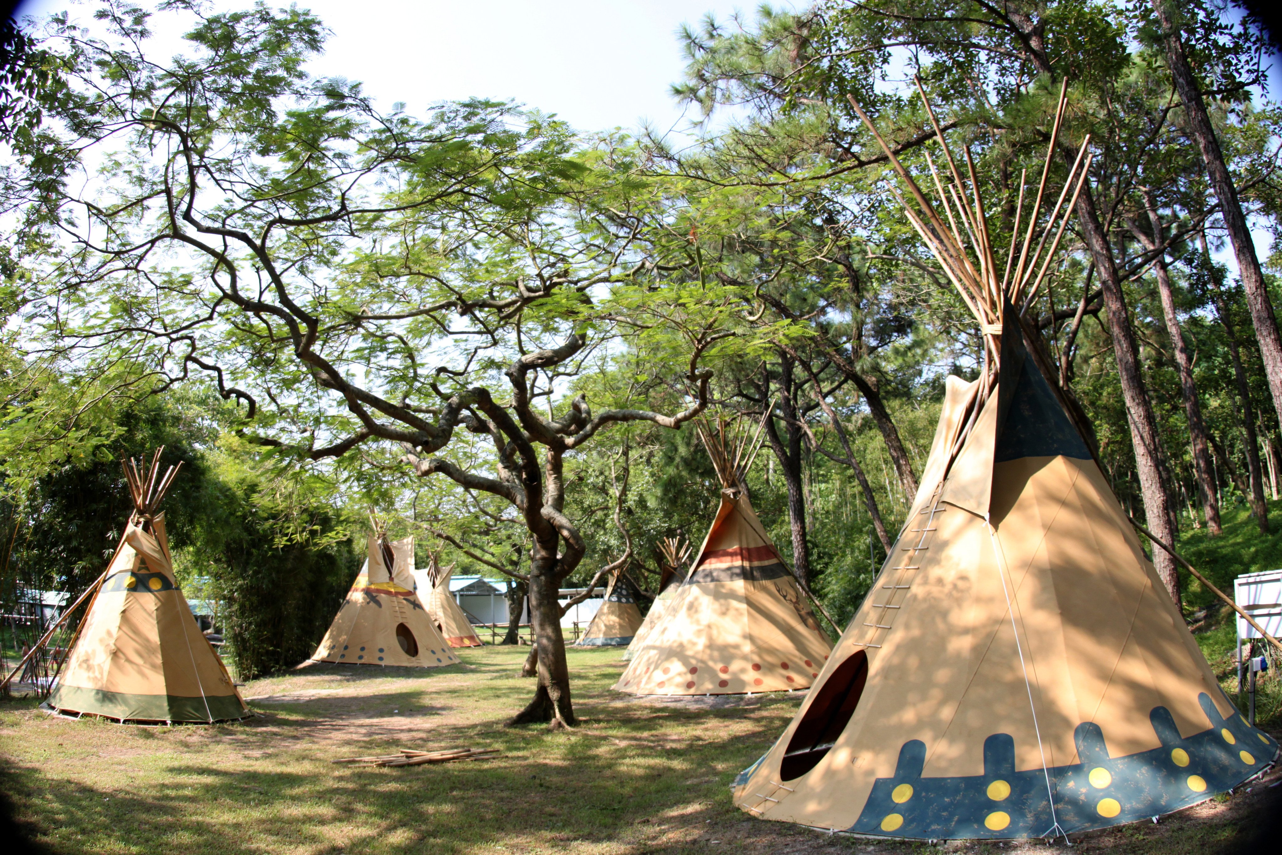 Native American-style tepees at the Saiyuen glamping site in Cheung Chau, Hong Kong. Photo: Handout