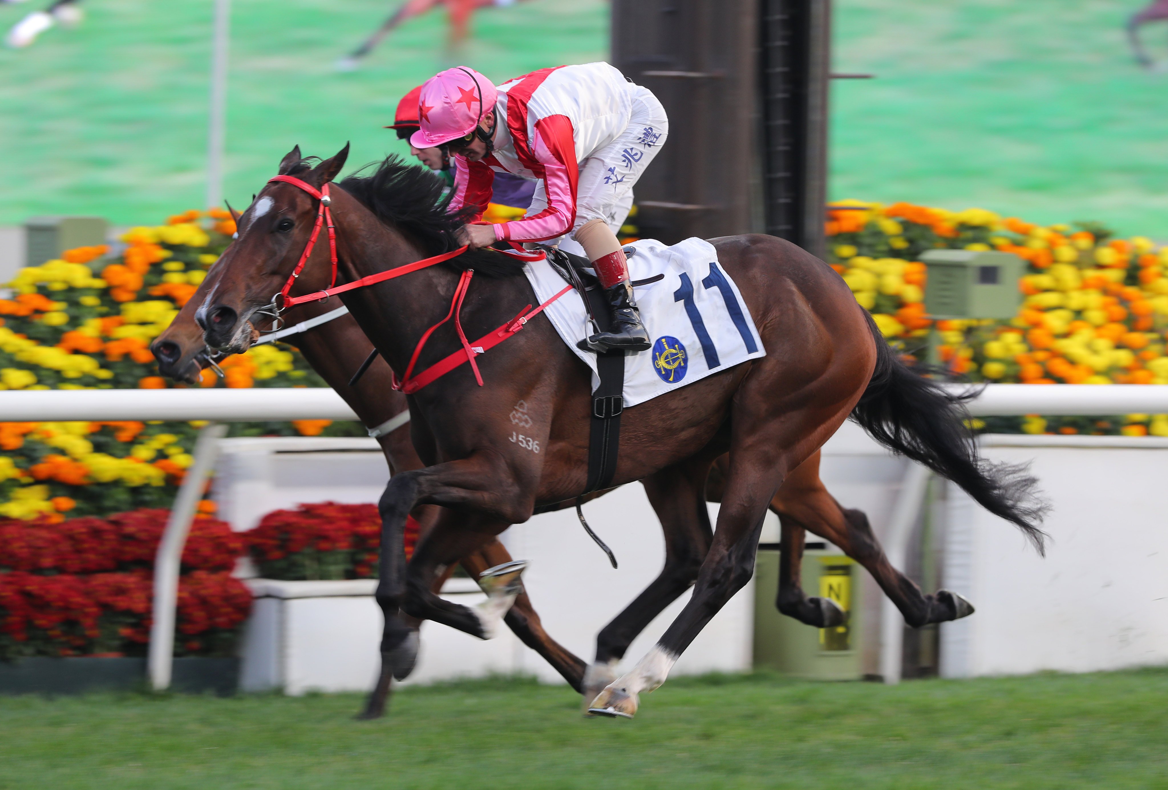 Andrea Atzeni guides Noisy Boy to victory at Sha Tin. Photos: Kenneth Chan