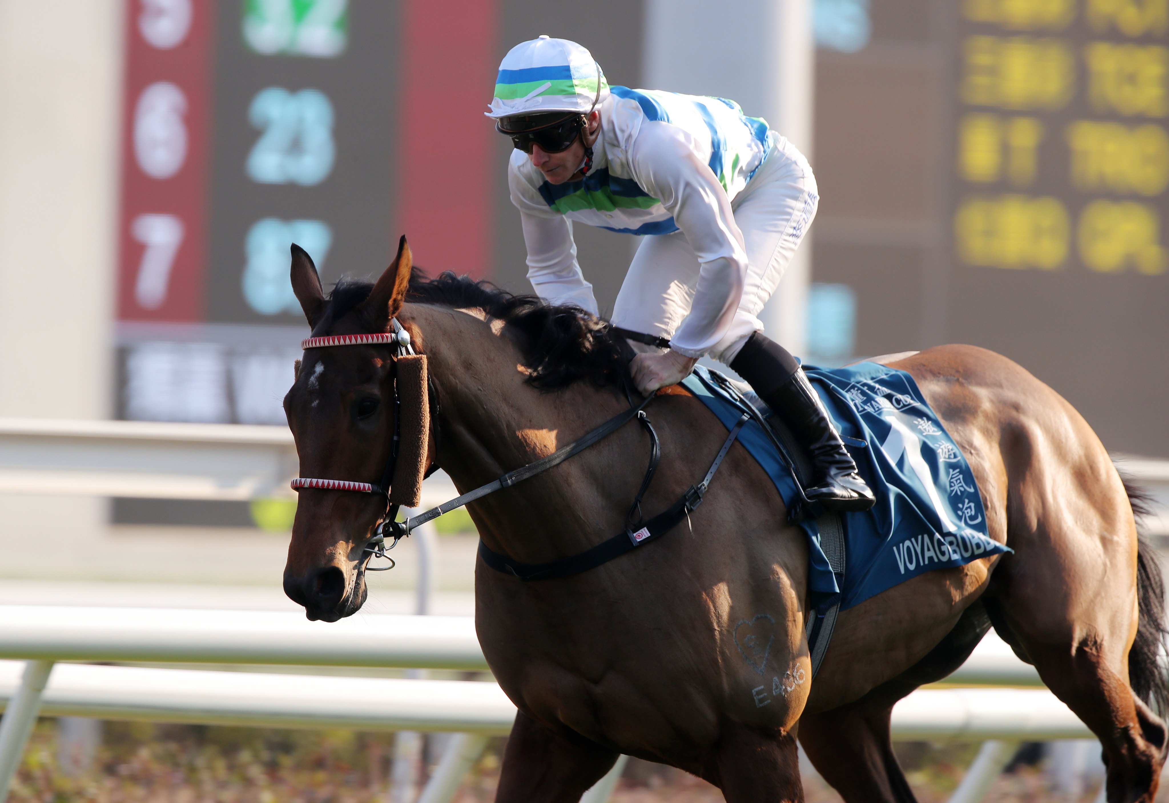 Voyage Bubble dominates the Group One Stewards’ Cup at Sha Tin. Photos: Kenneth Chan