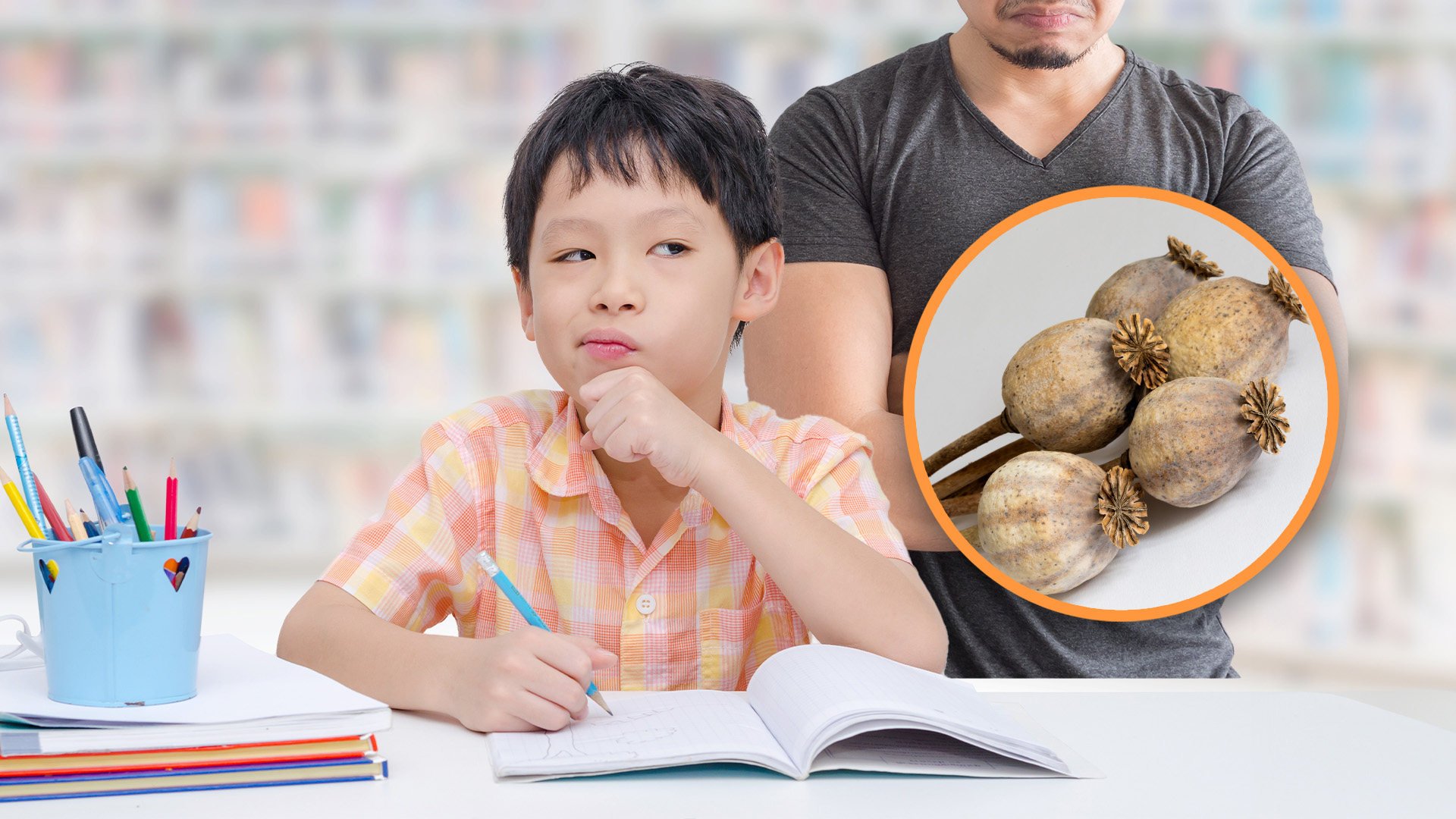 A boy in China informed the police about his father having poppy husks after being scolded for unfinished homework. Photo: SCMP composite/Shutterstock