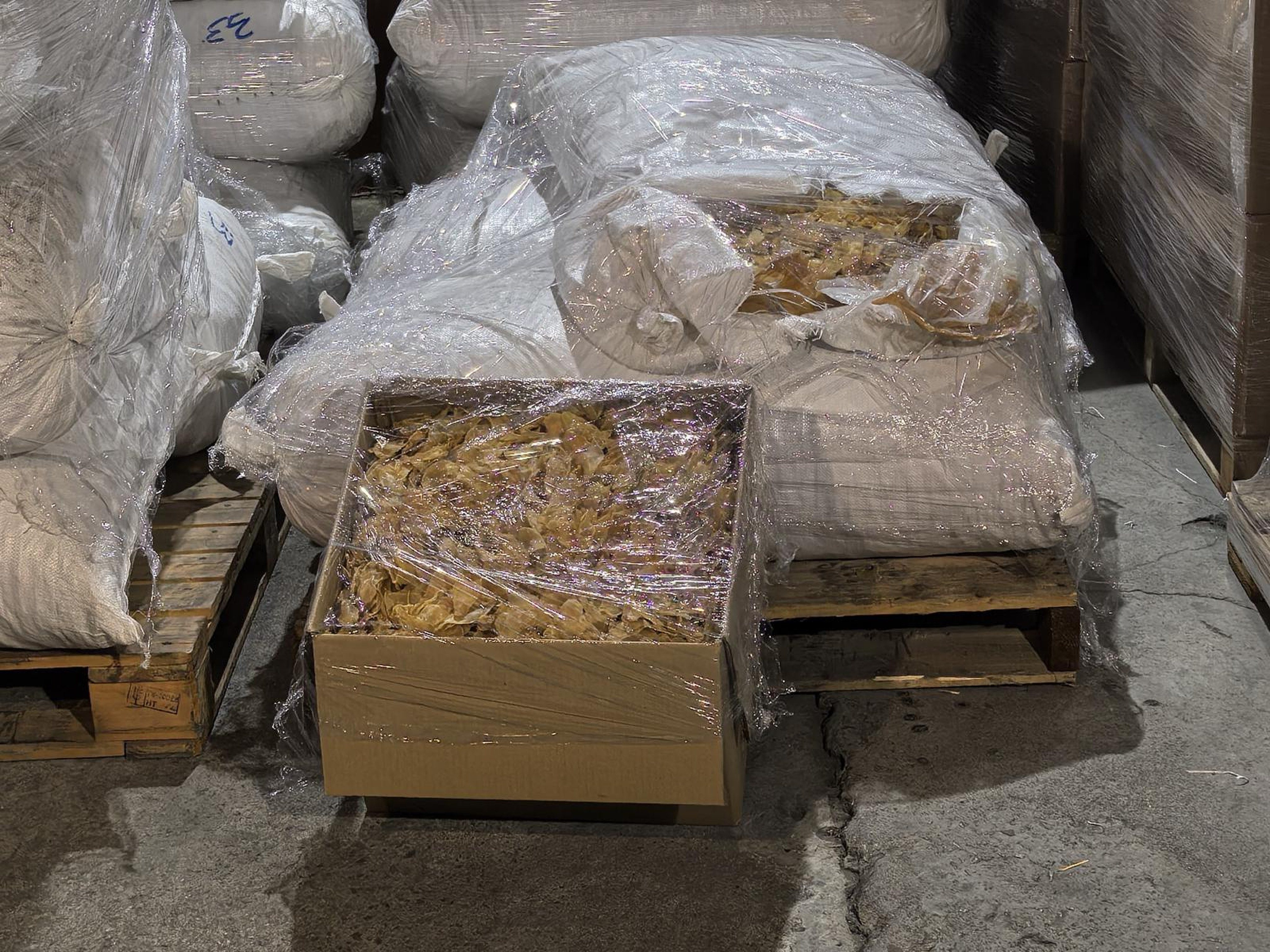 Hong Kong police have arrested five men for allegedly stealing more than four tonnes of dried fish maws. Photo: Handout