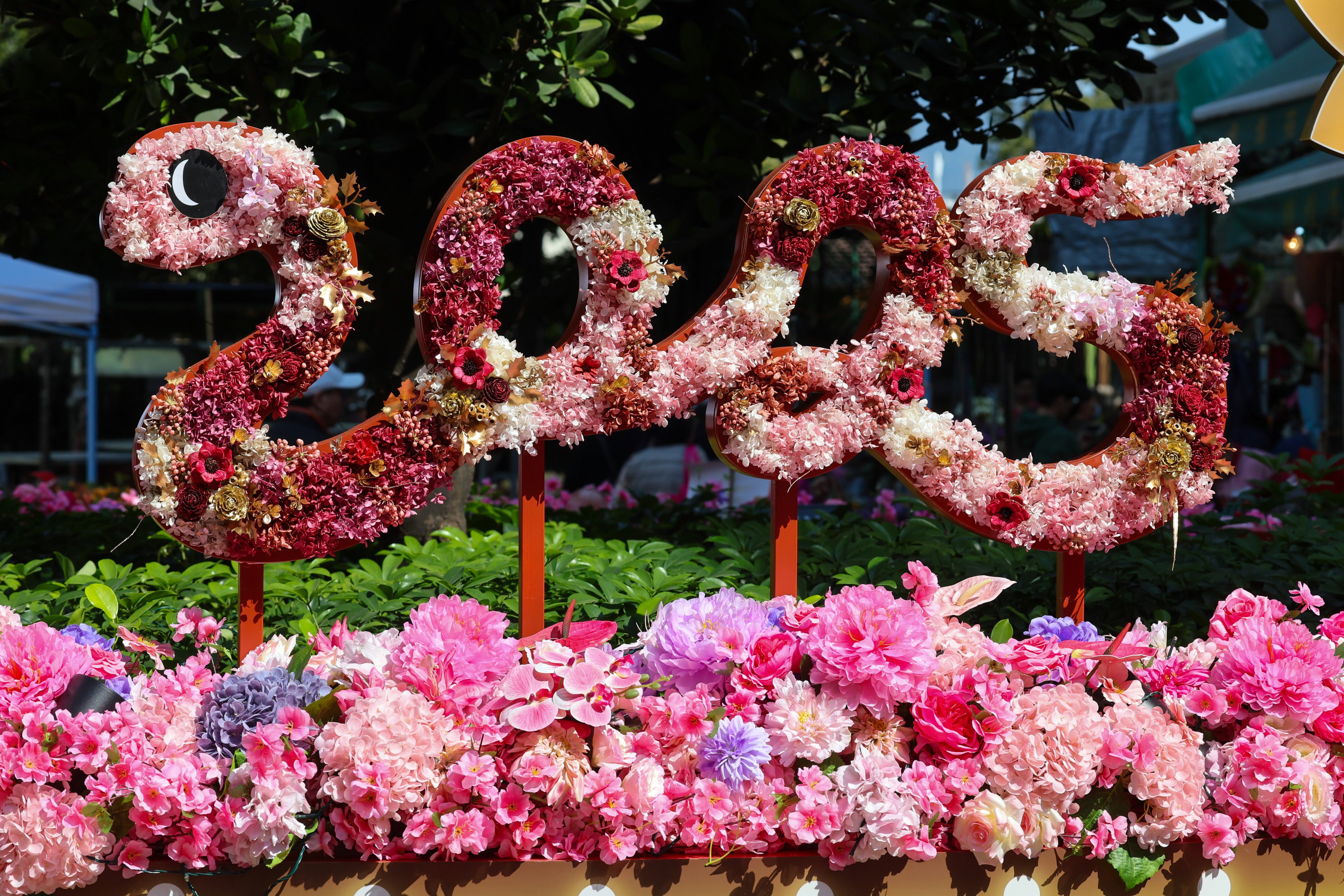 A floral arrangement heralds the Year of the Snake at Mong Kok Flower Market on January 20, 2025. Photo: Dickson Lee