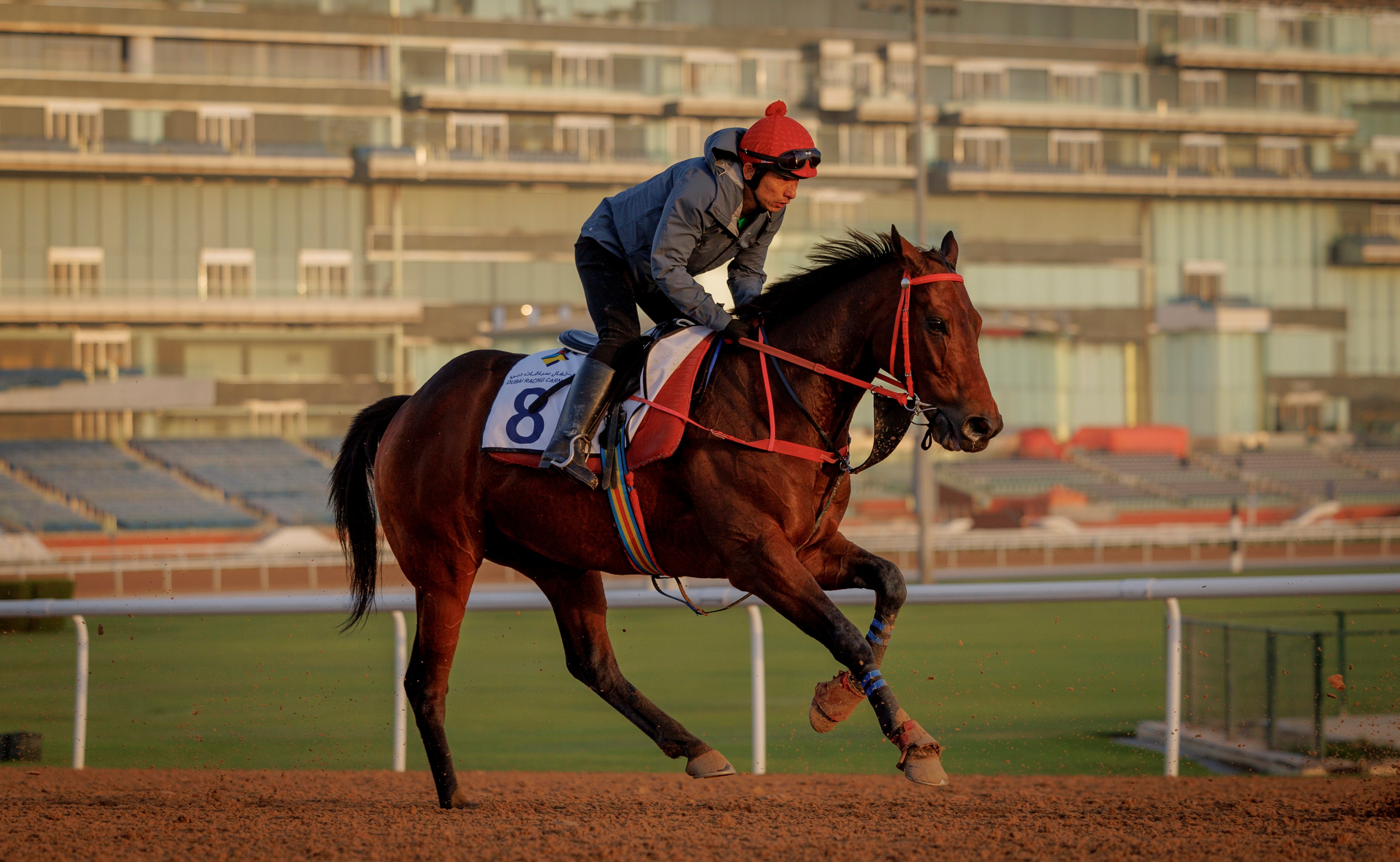 Romantic Warrior works on the Meydan dirt on Thursday morning. Photos: Alex Evers/HKJC