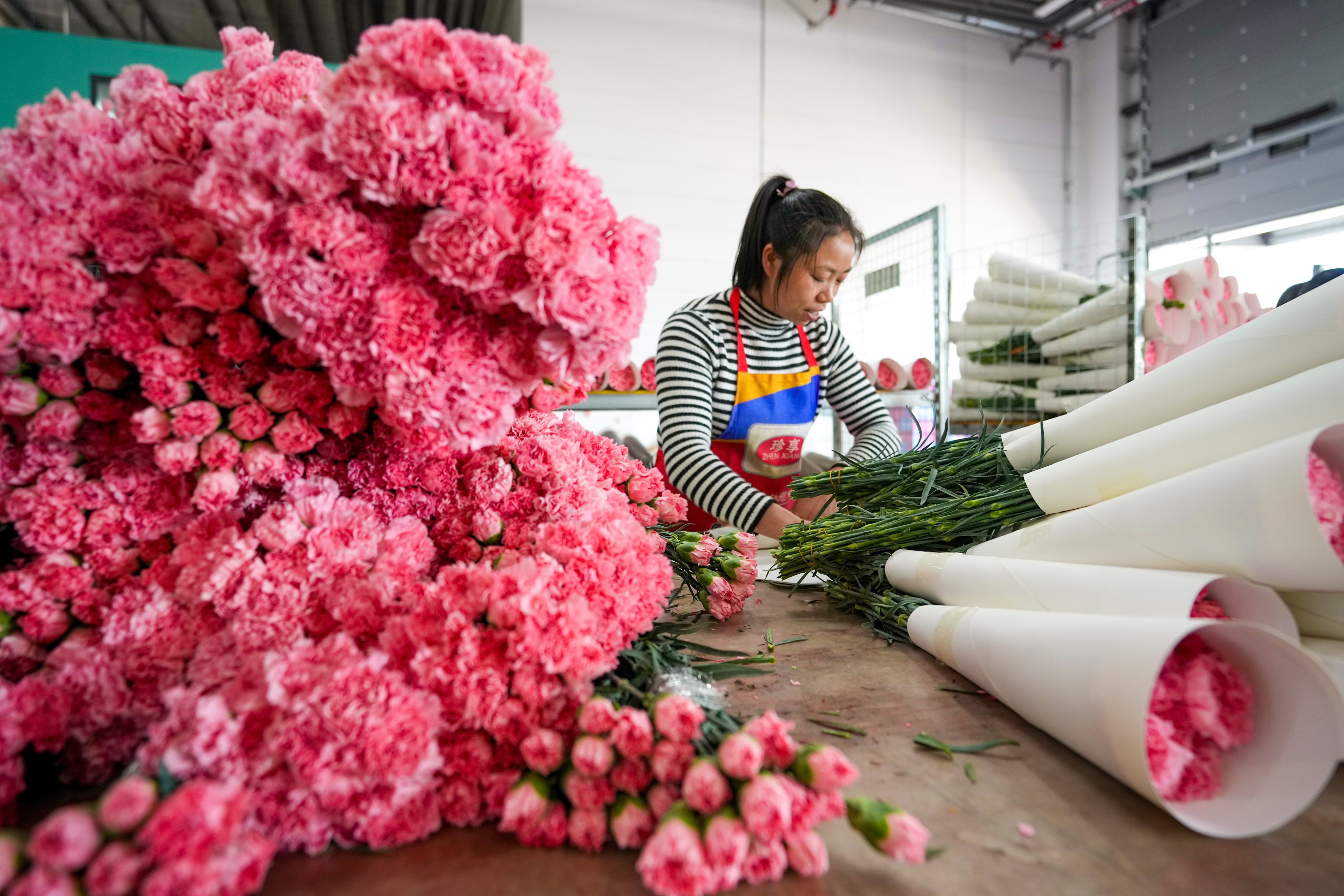 Flower prices are down in southern China ahead of the Lunar New Year holiday as a mild winter and weak consumption weigh on retail profits. Photo: Xinhua