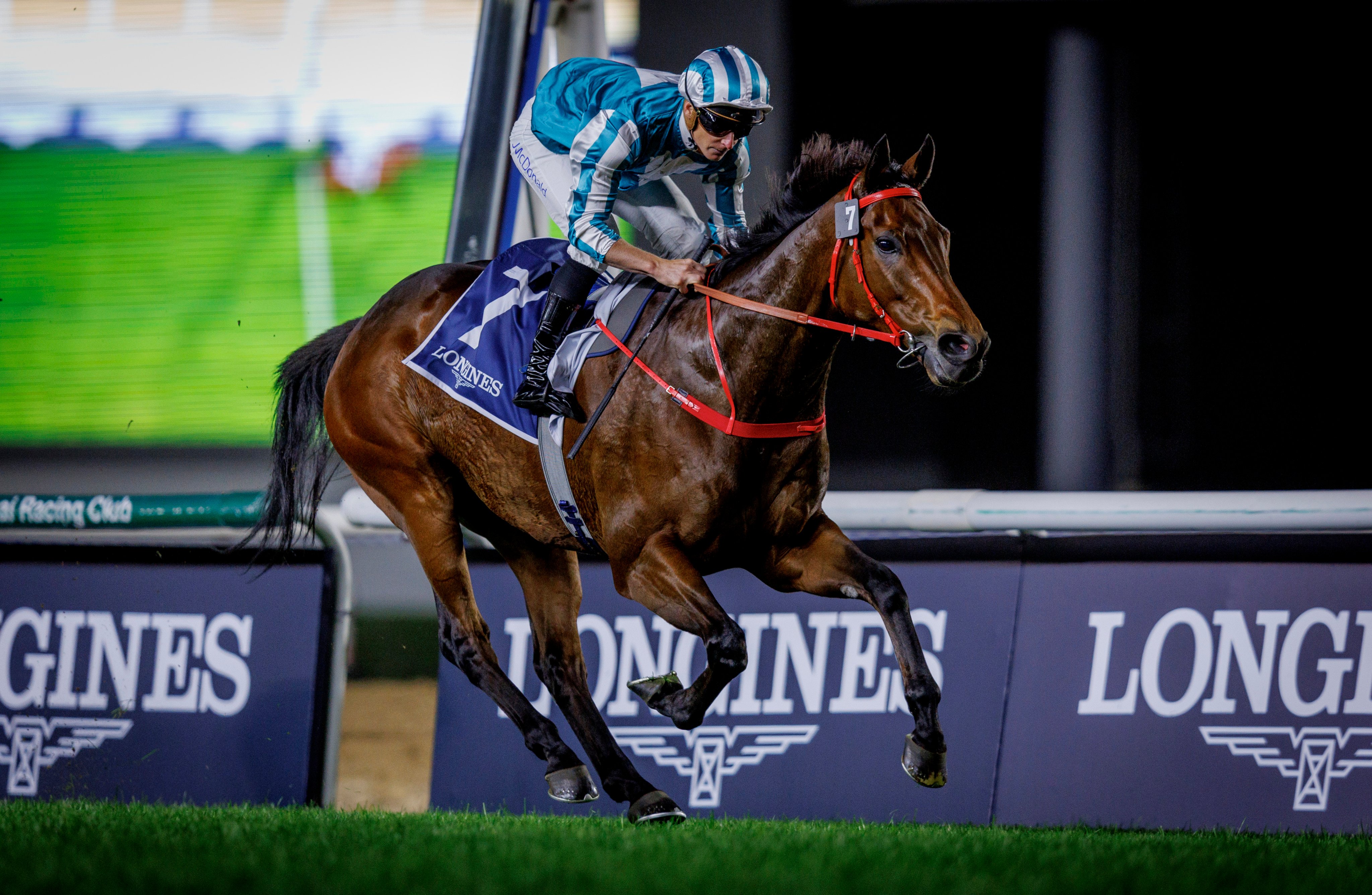 Romantic Warrior snares the Group One Jebel Hatta (1,800m) under James McDonald. Photos: Alex Evers/HKJC