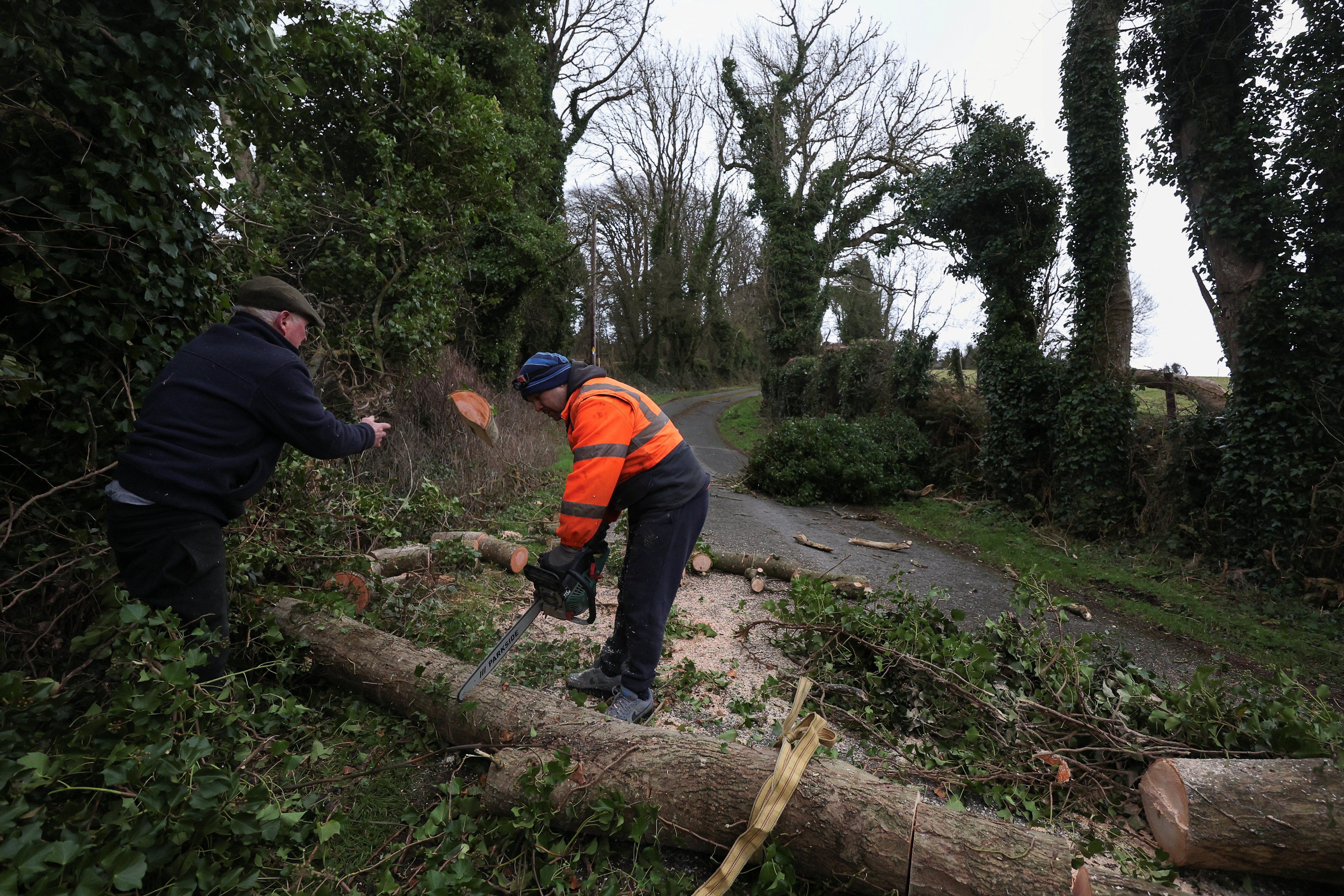 Tommy Fetherston and Sandi Istrate work on removing a tree which fell, after Storm Eowyn hit, in Kilteel county Kildare, Ireland, on Friday. Photo: Reuters