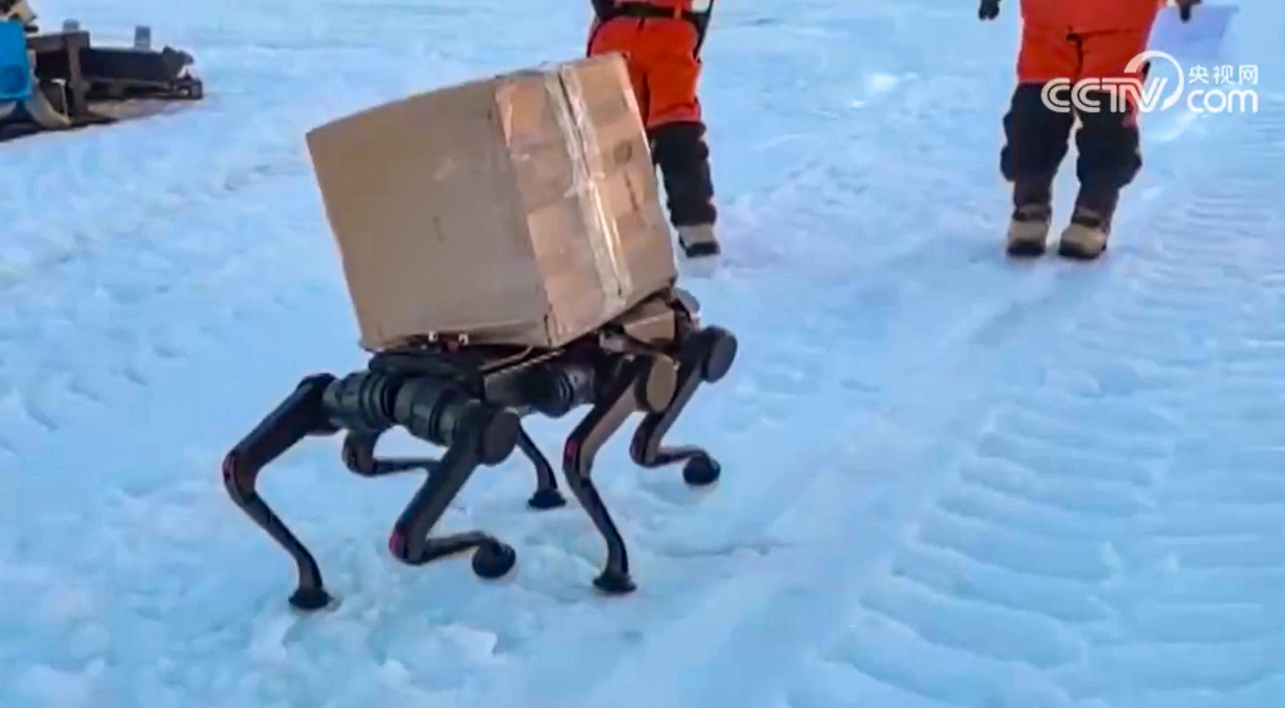 The robot dog can carry loads of up 100kg and operate in extreme cold. Photo: CCTV