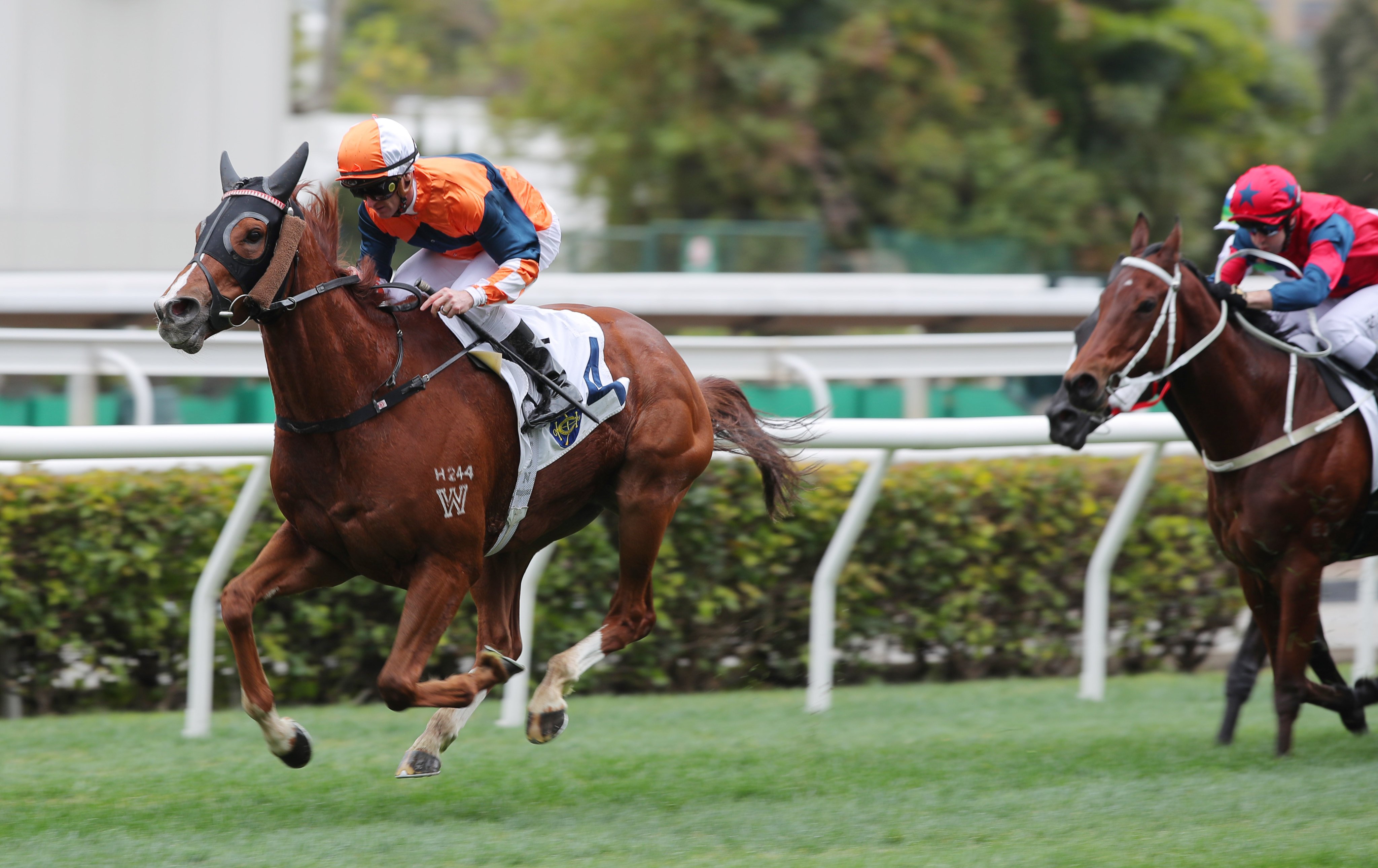 Sunlight Power surges clear under Zac Purton to score at Sha Tin. Photos: Kenneth Chan