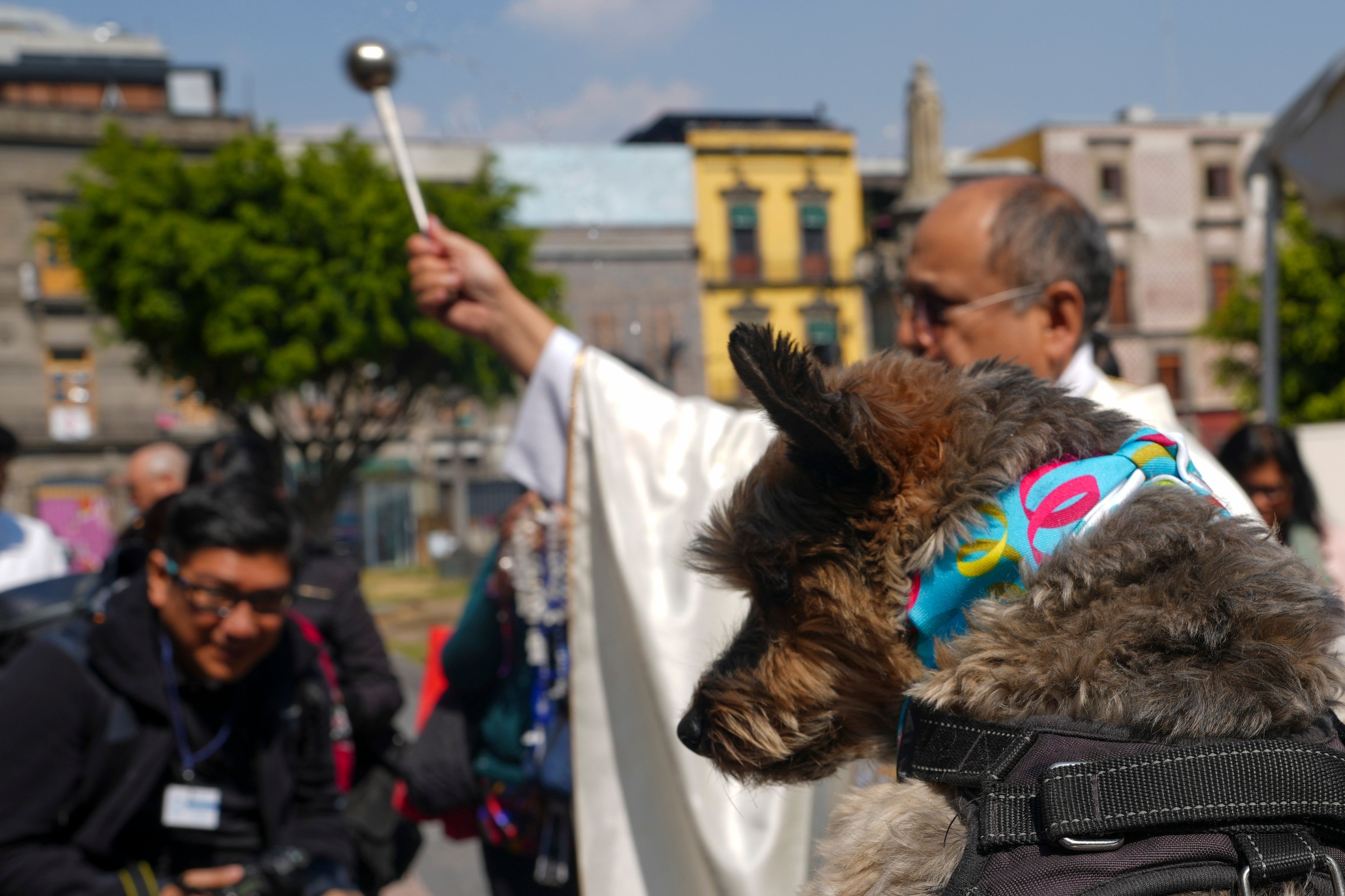 Pets received blessings at a Mexico City cathedral on St Anthony the Abbot’s feast day, with owners praying for their well-being. Photo: AP