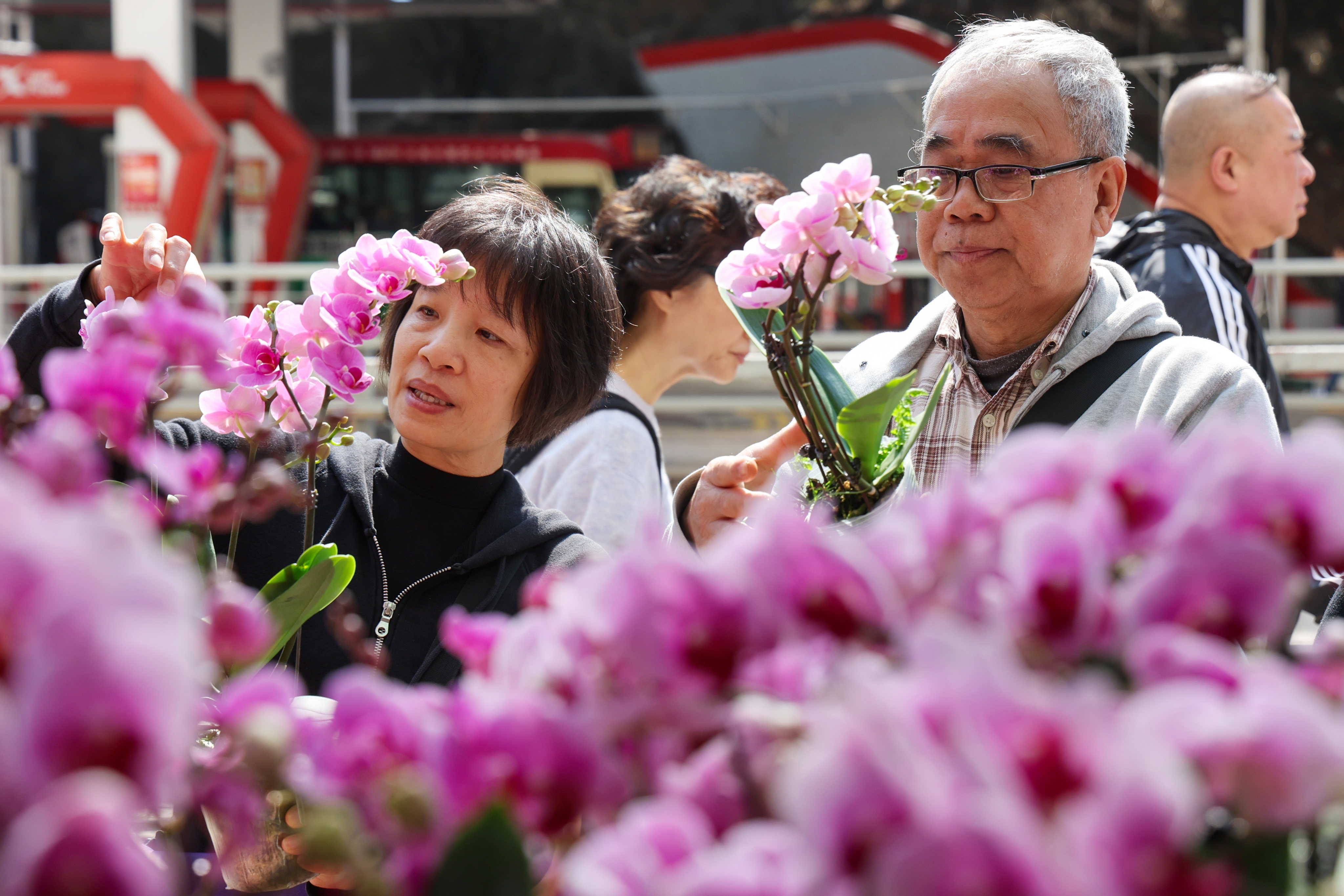 Shoppers buy flowers for Lunar New Year at Mong Kok Flower Market.  Photo: Dickson Lee