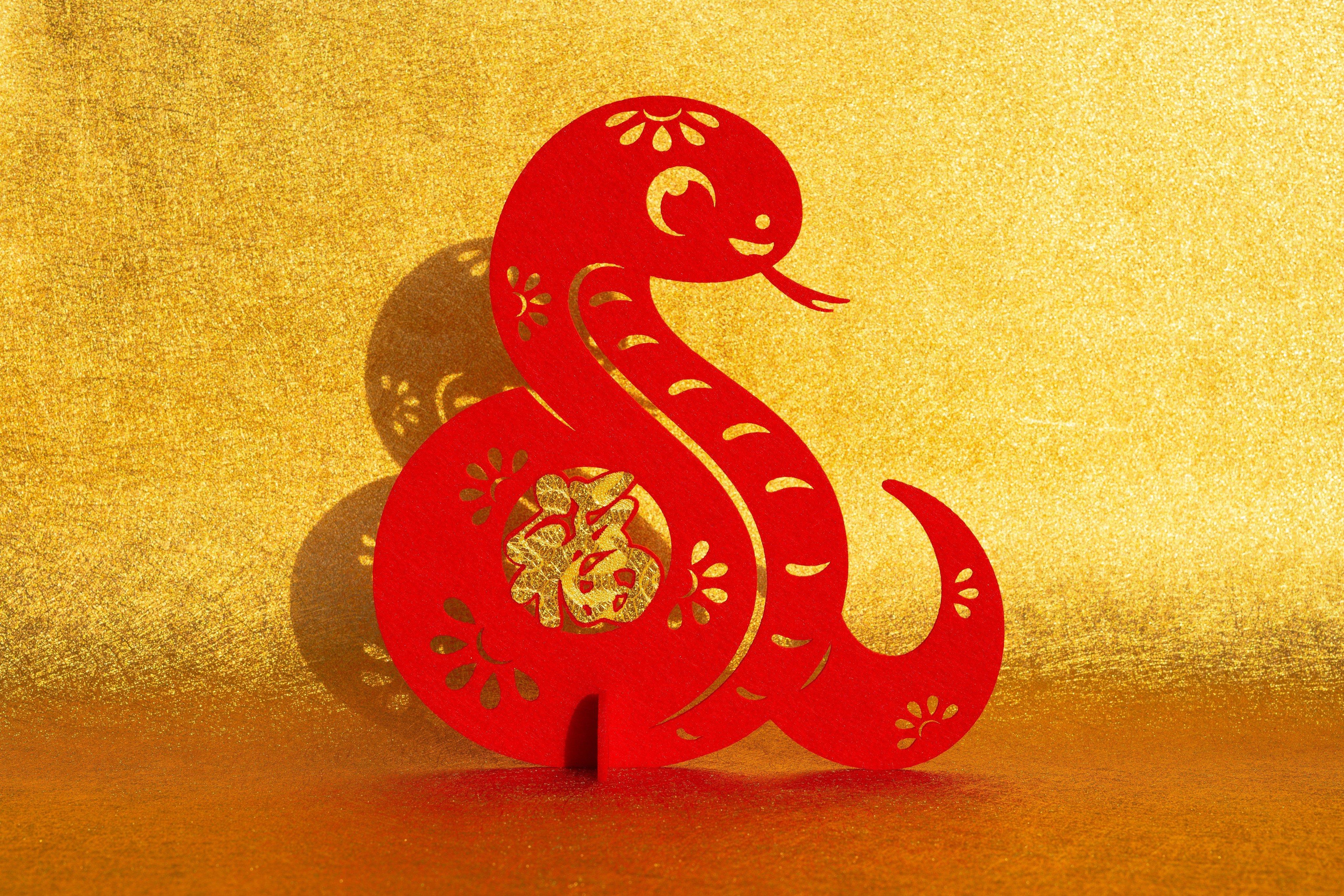 For Snakes in the Year of the Snake, the wealth position is west, the love position is south, and the position for health and general luck enhancement is southwest, according to feng shui. Photo: Shutterstock