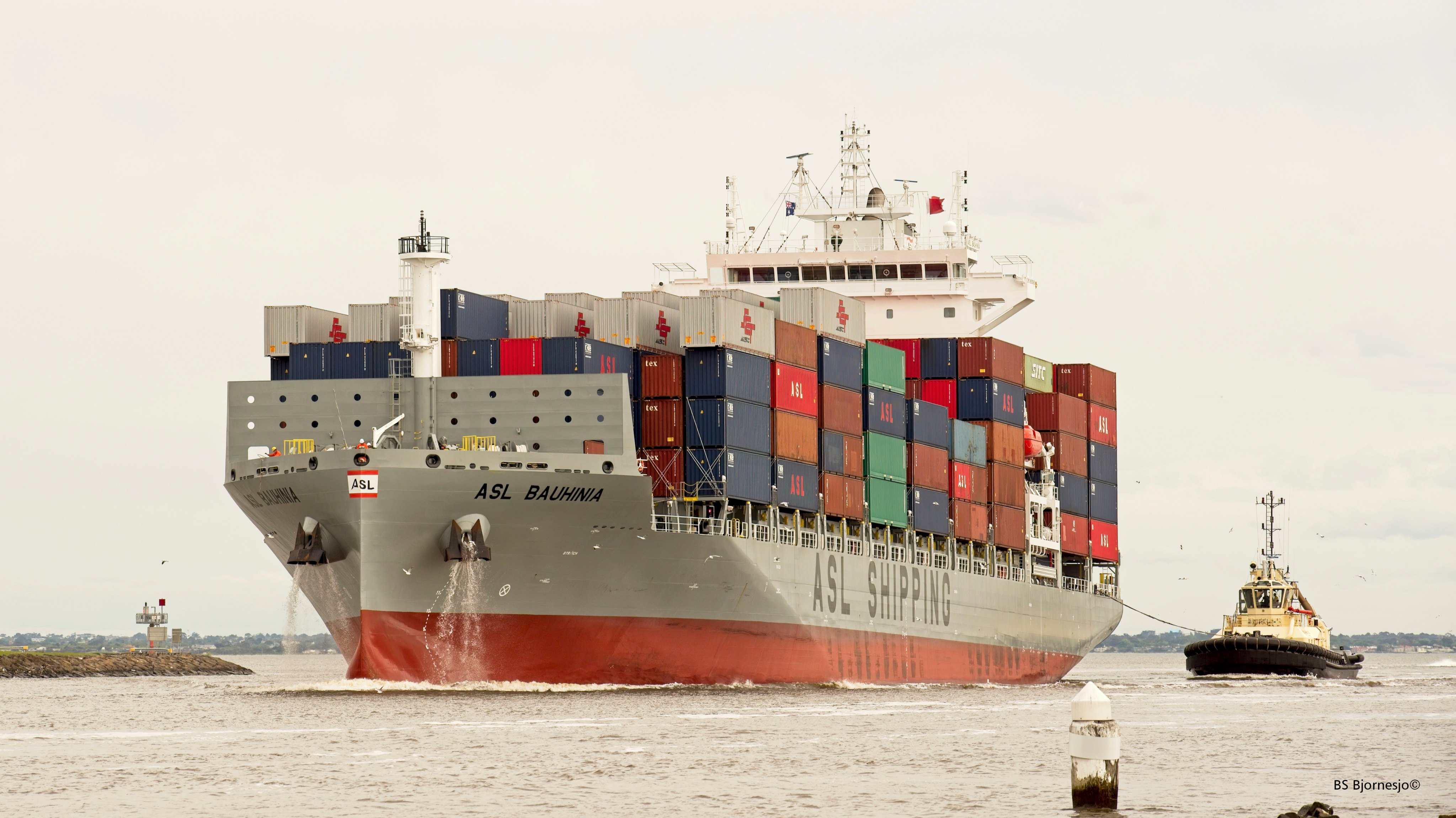 The Hong Kong-flagged container ship ASL Bauhinia is seen off Melbourne, Australia in 2022. Photo: AP