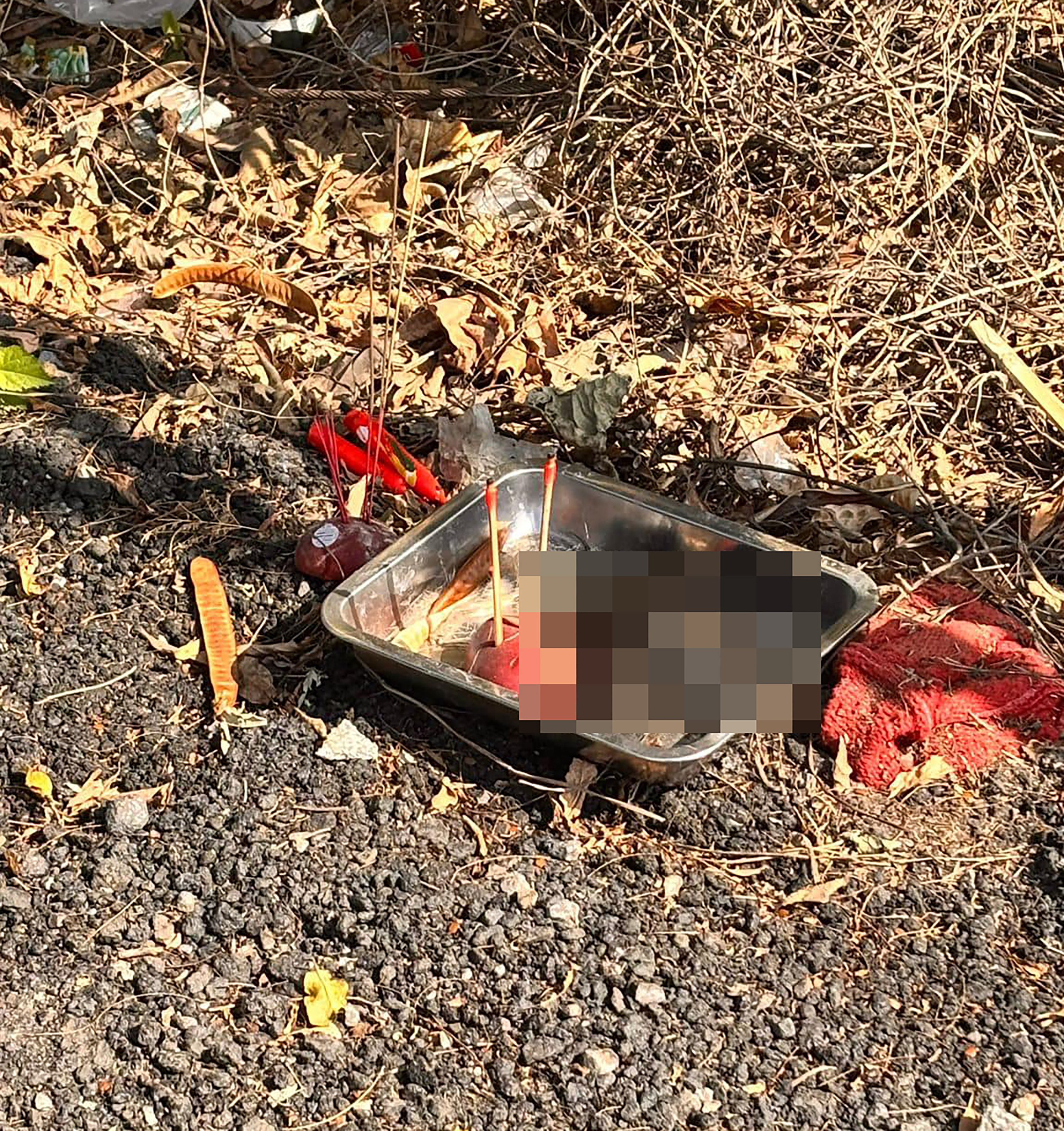 A passer-by spotted the tray at the entrance of a Yuen Long village. Photo: Handout