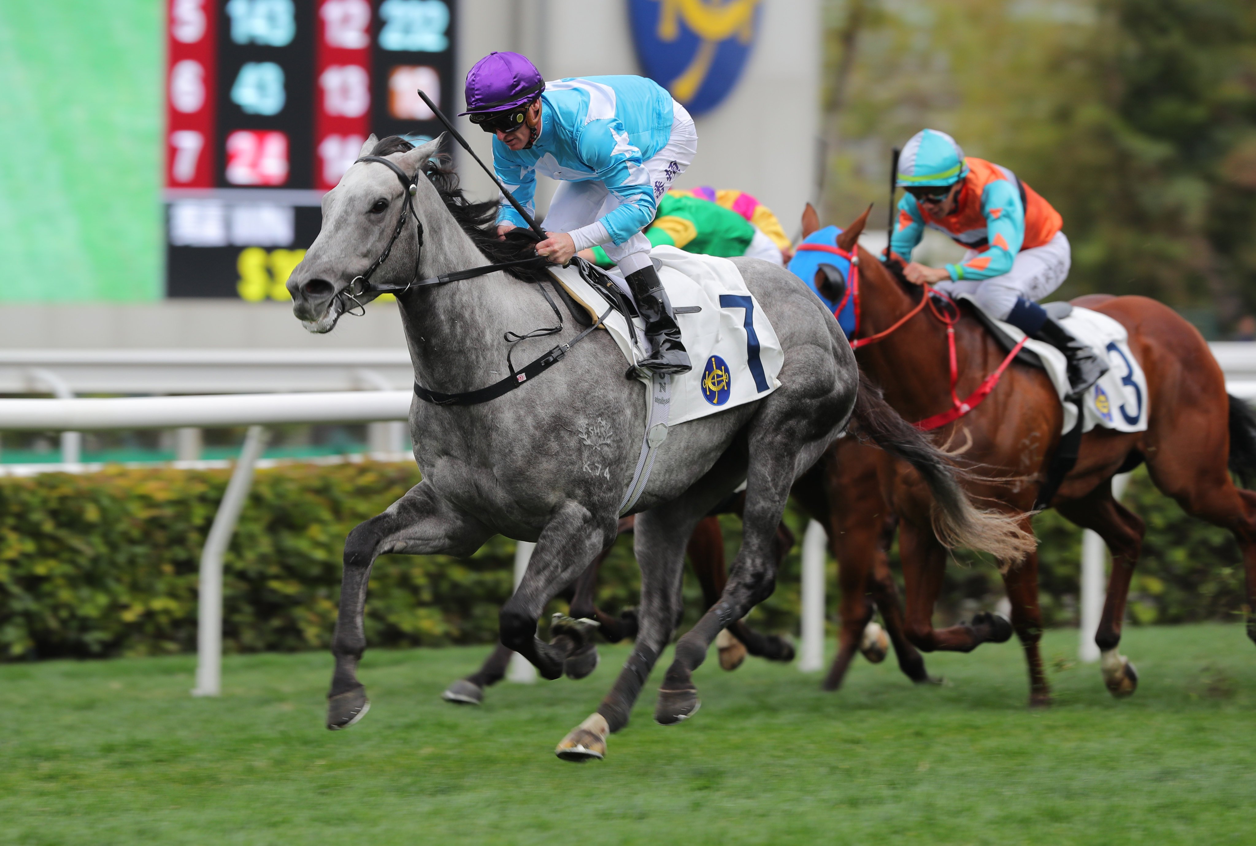 Yee Cheong Glory makes a winning debut at Sha Tin on Friday. Photos: Kenneth Chan