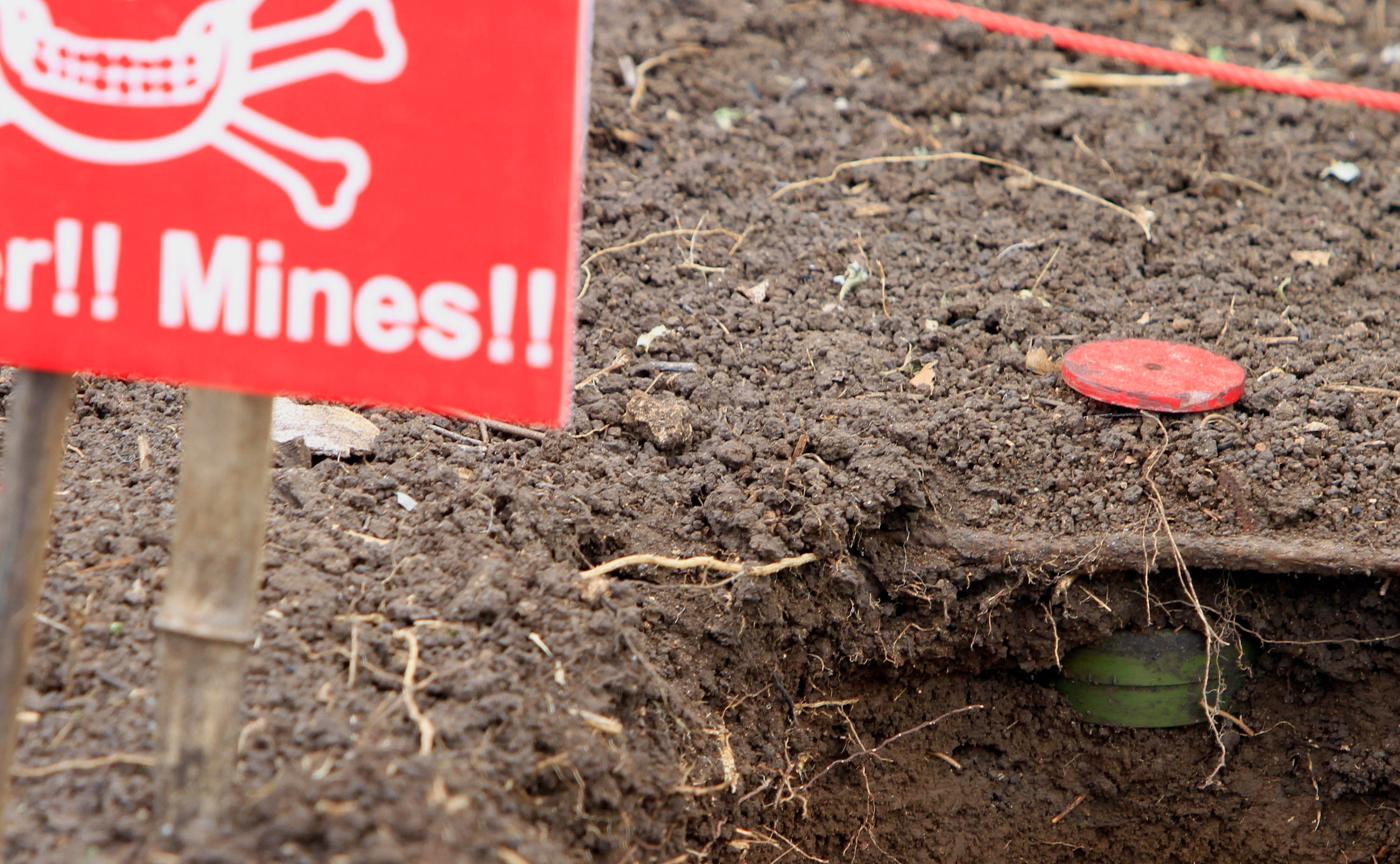 An unexploded landmine in a field in northwestern Cambodia. People still die in the country or are horribly maimed due to unexploded bombs. File photo: AP