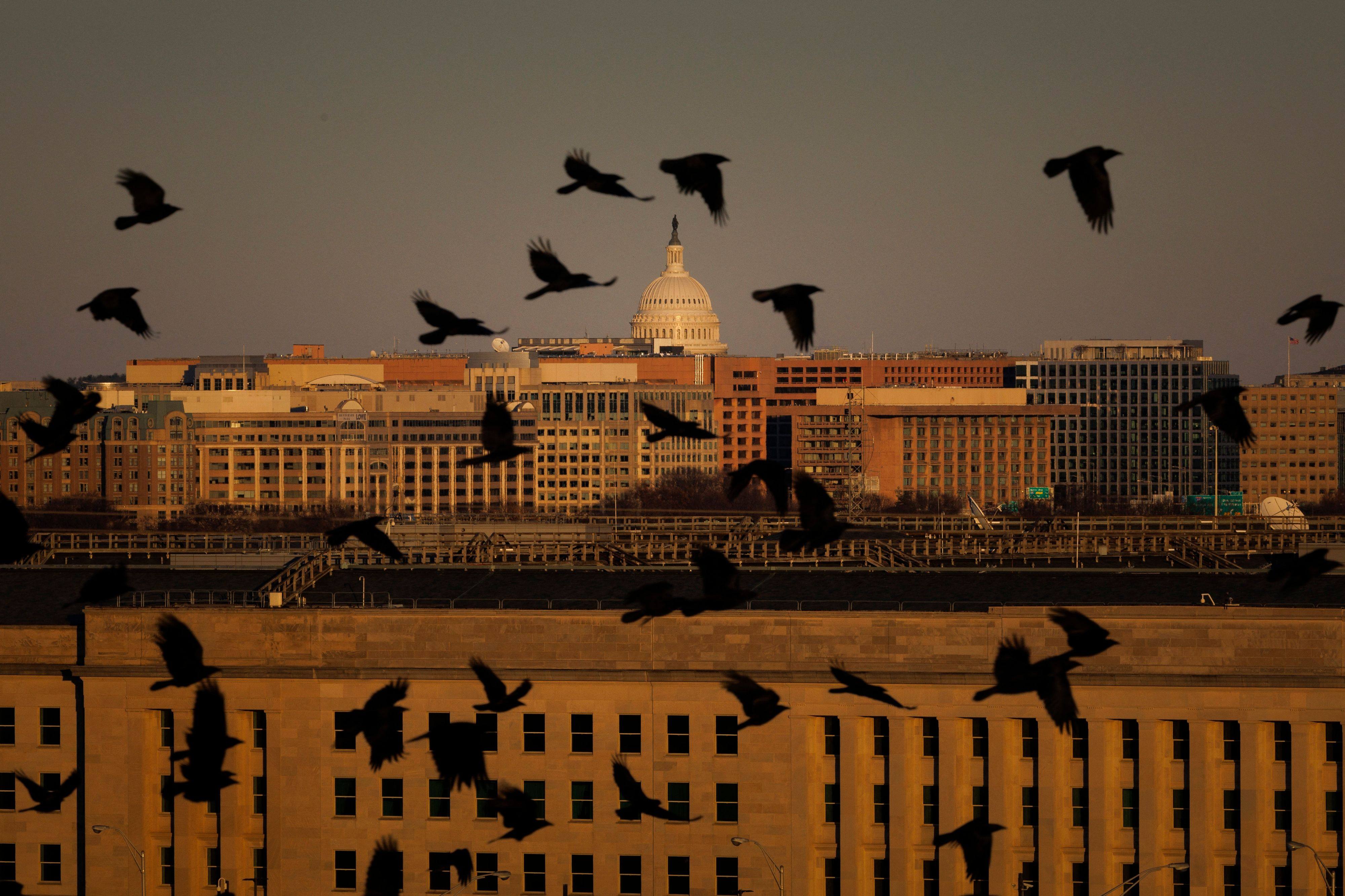Birds fly near the Pentagon building in Arlington, Virginia, in December. Photo: AFP