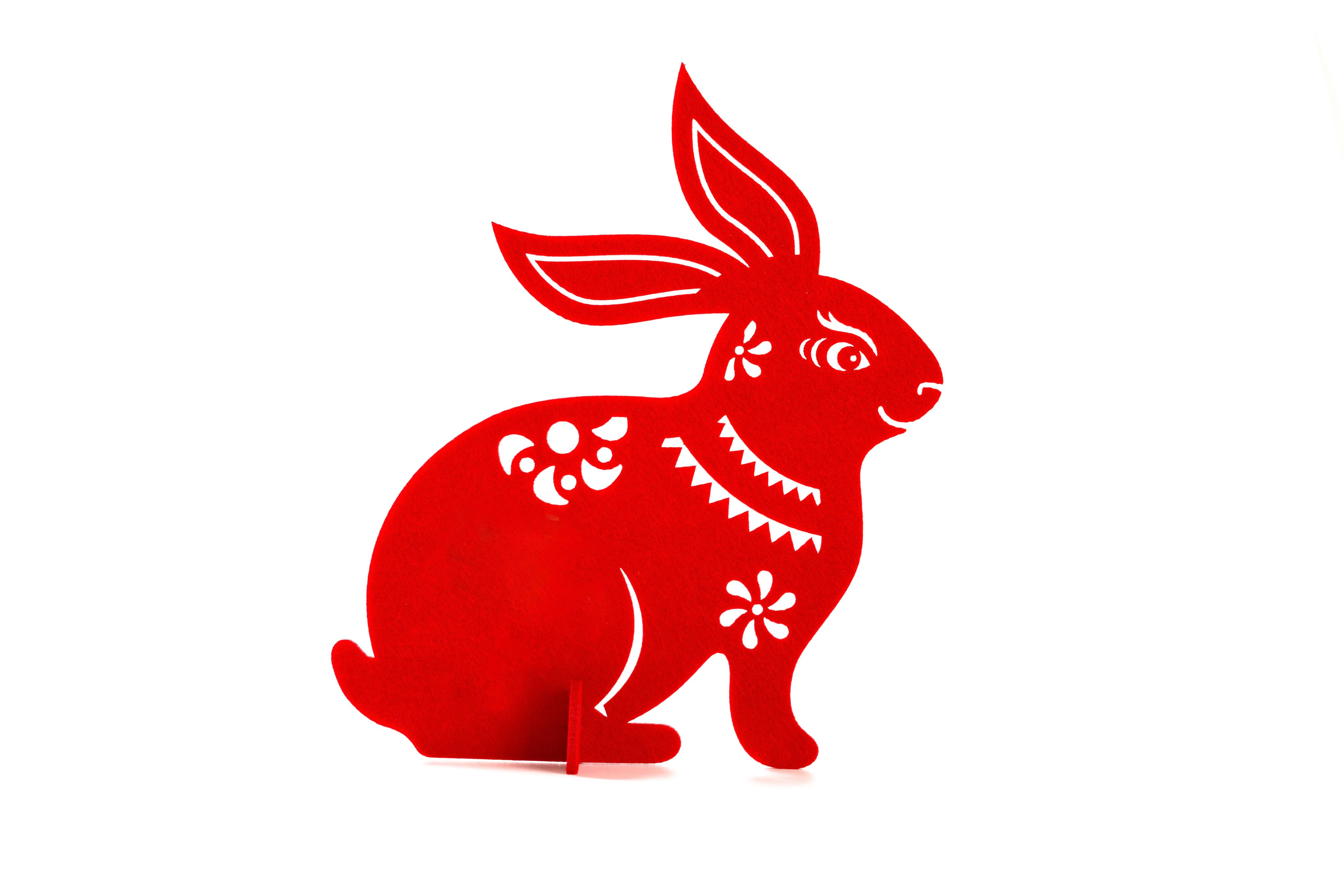 Rabbits should be careful when it comes to investments this year. A feng shui master shares where to place crystals, orchids and more for luck in wealth, health and love. Photo: Shutterstock