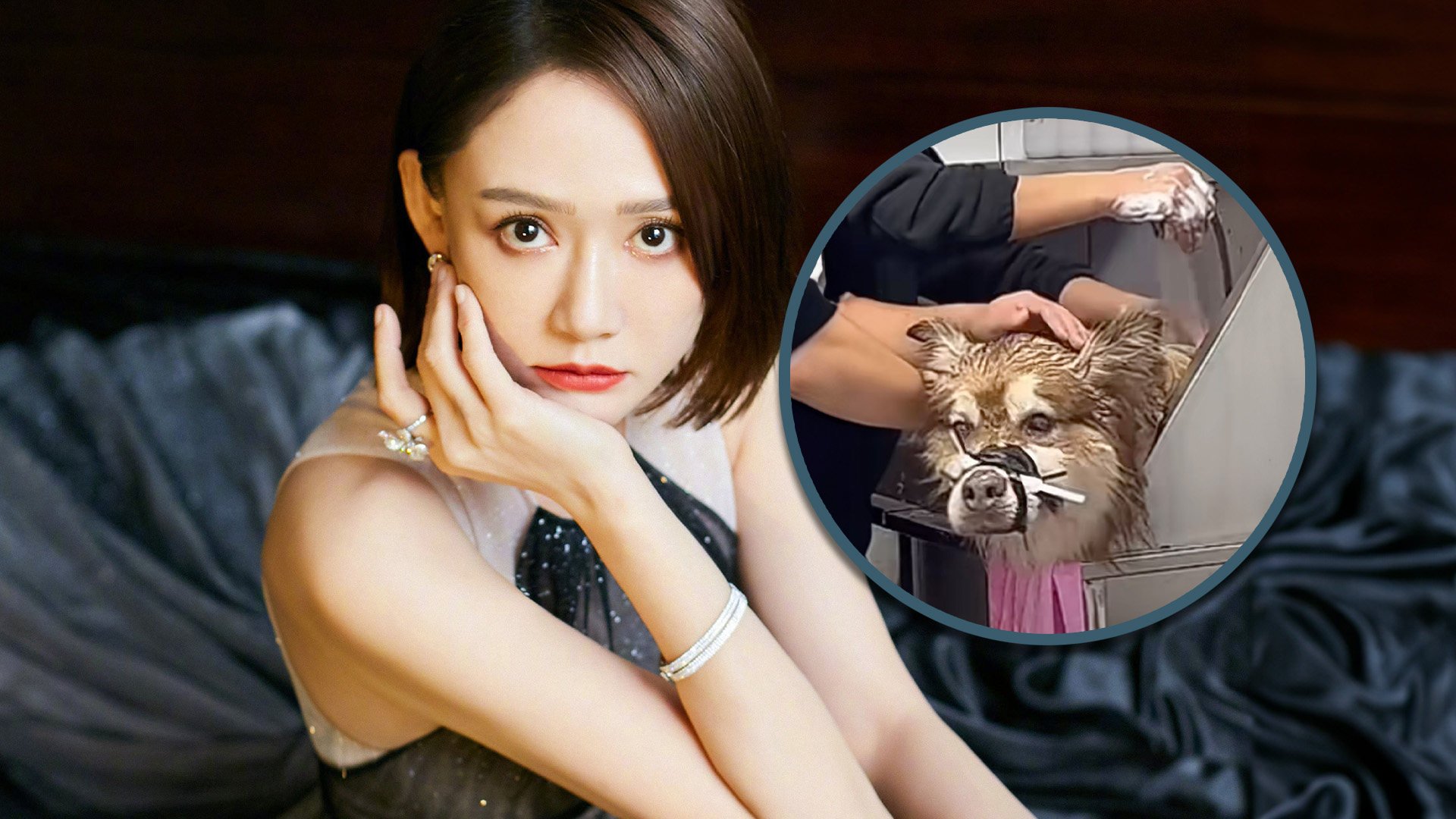 A Taiwan actress has slammed a Chinese influencer after a dog died while he was giving it a live-stream bath. Photo: SCMP composite/Weibo/Douyin