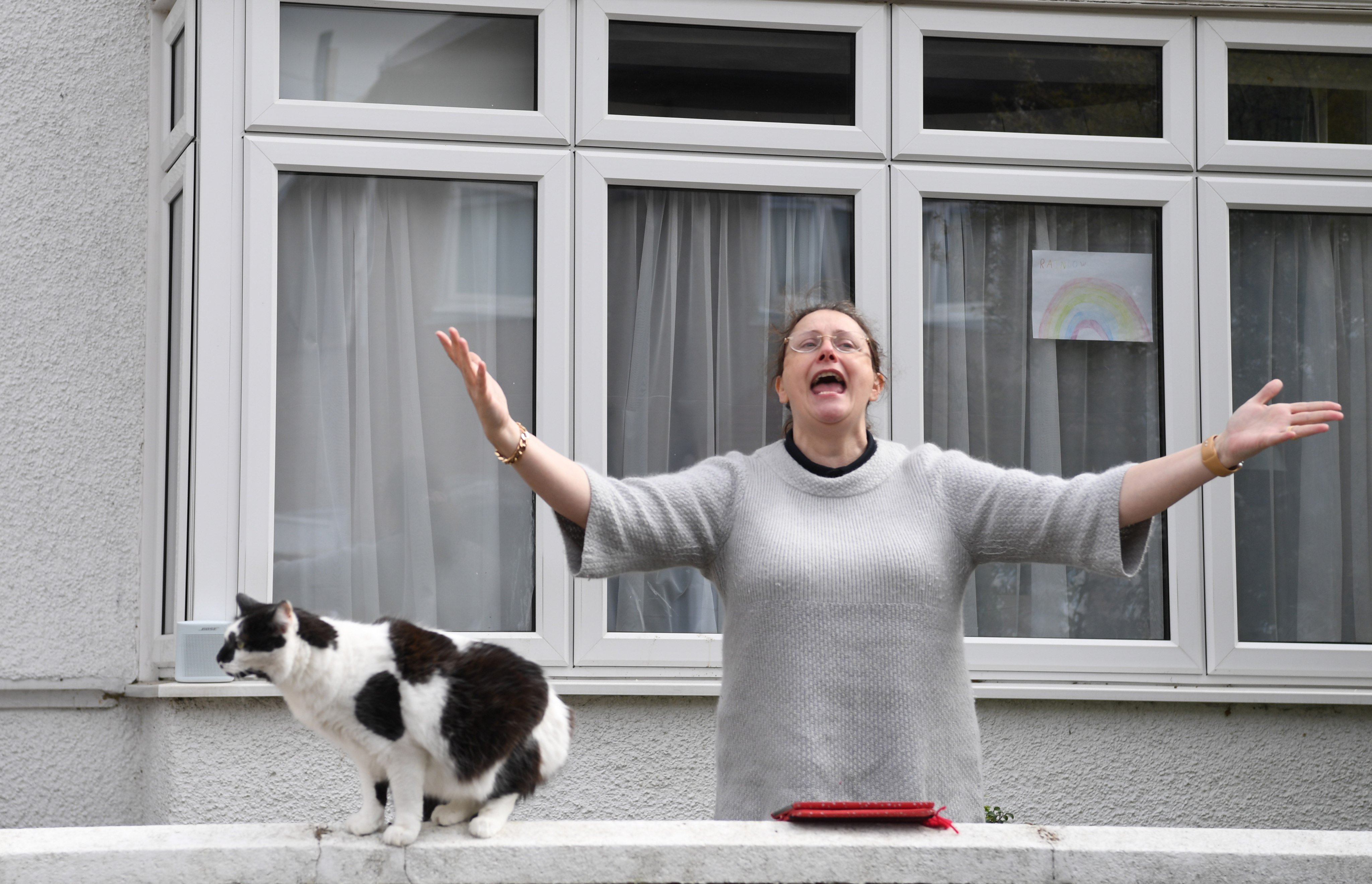 The Scottish Animal Welfare Commission urged ministers to explore introducing containment zones, within which there would be restrictions on cats. Photo: EPA-EFE