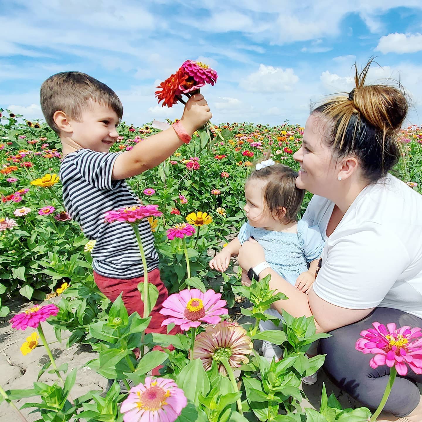 A family enjoys a holiday at Heap’s Giant Pumpkin Farm, in the US state of Illinois. Agritourism boomed during Covid-19 and the industry has continued to grow since, driven by increasing numbers of city dwellers seeking peace and solitude and farmers seeking additional ways to infuse their farms with much-needed cash. Photo: Instagram/dawnpopex0