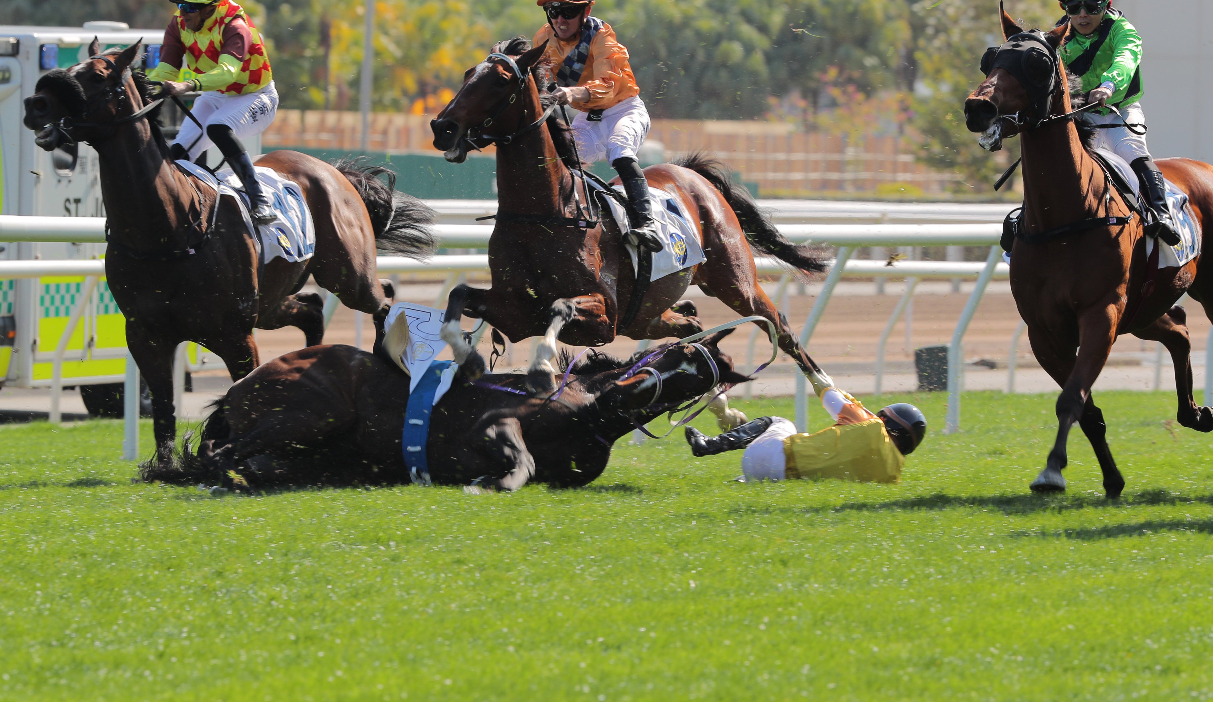 Vincent Ho hits the turf after falling from Oldtown at Sha Tin on Sunday. Photo: Kenneth Chan
