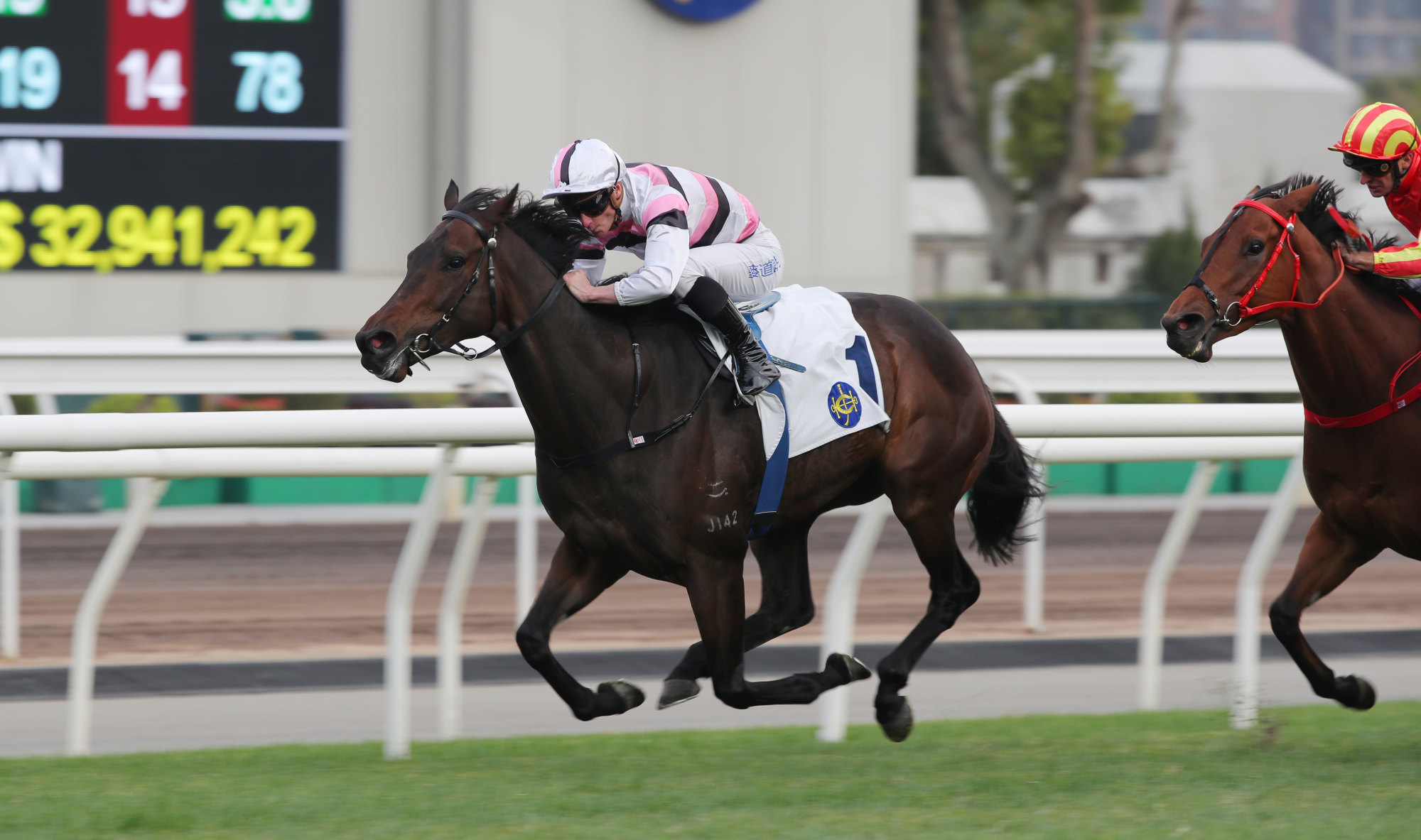 Divano wins under James McDonald in December.