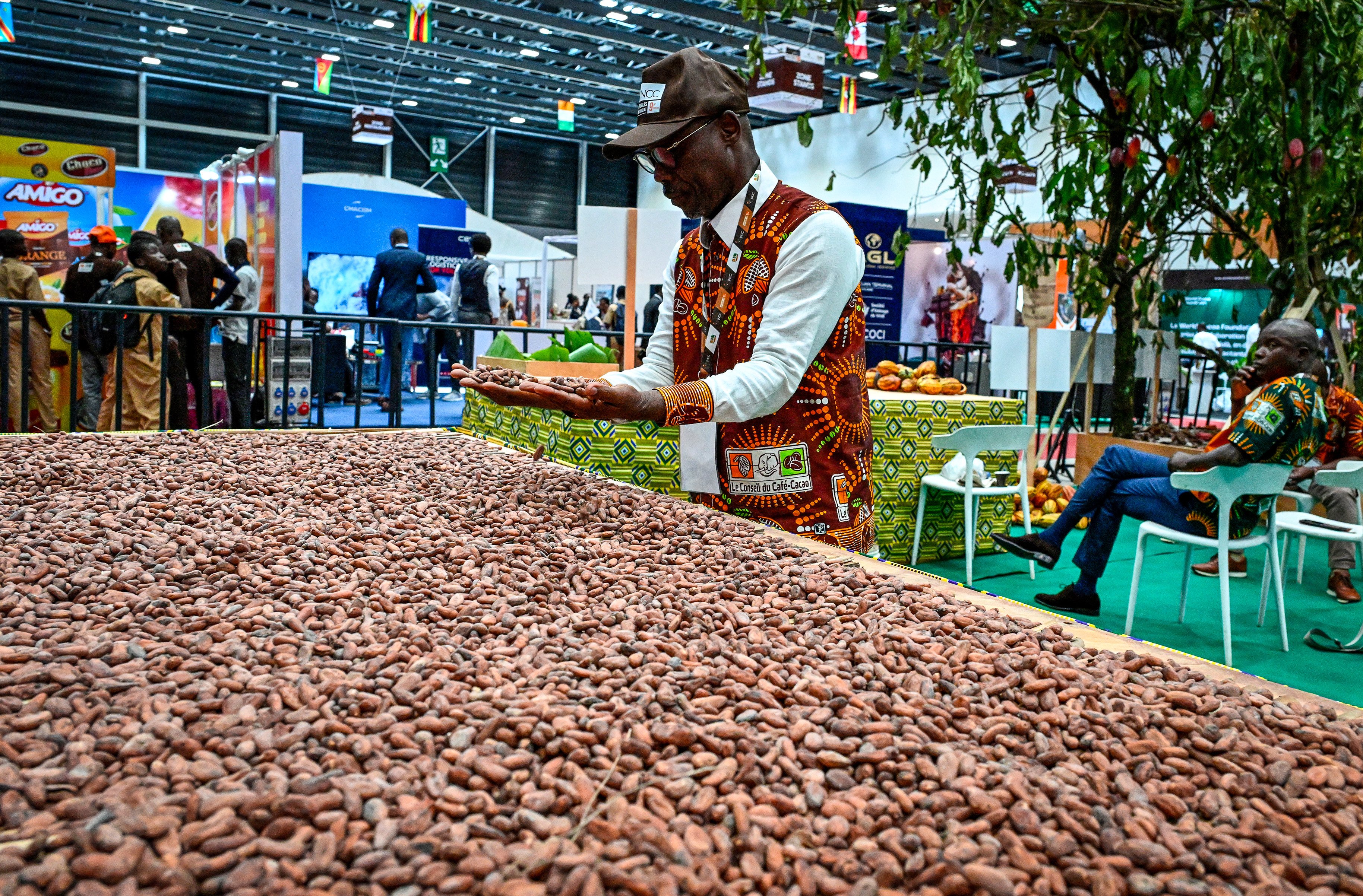 China is investing in cocoa bean processing factories in Ivory Coast and Ghana, which control 60-70 per cent of the world’s cocoa bean production. Photo: AFP