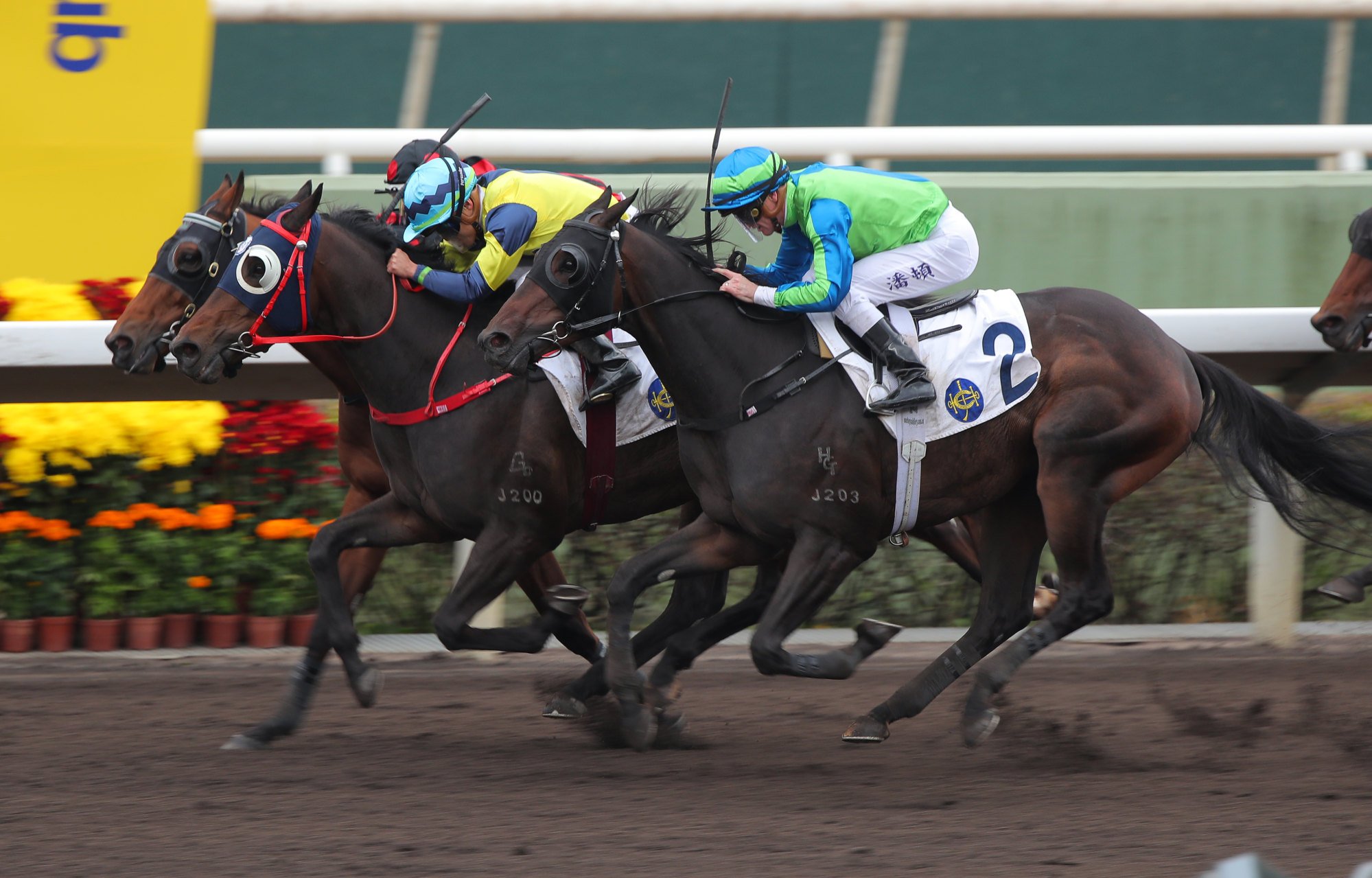 Lucky Touch (outside) storms home to run third to Never Peter Out.