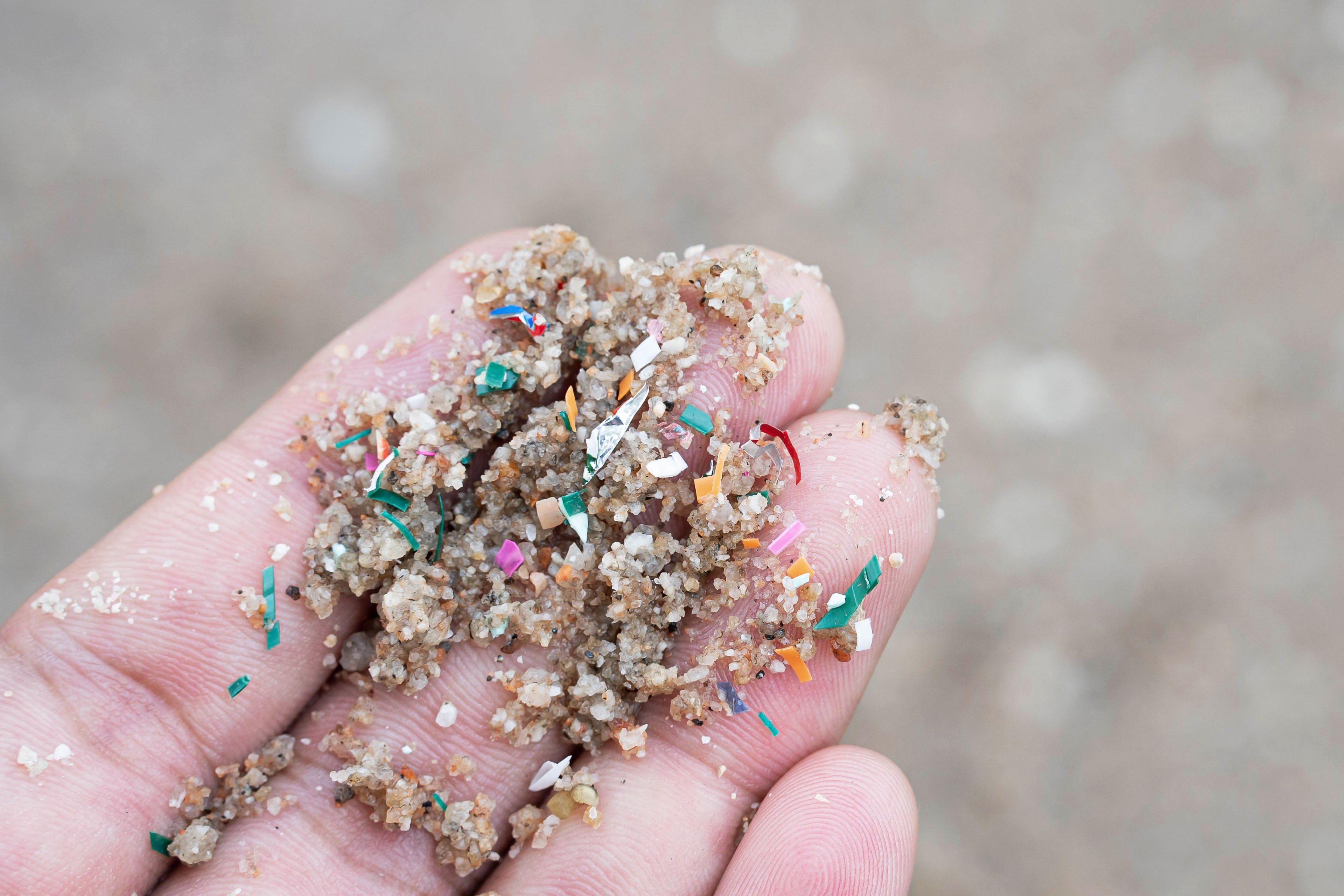 Microplastics are being found in human livers and brains in larger quantities than before. Photo: Shutterstock