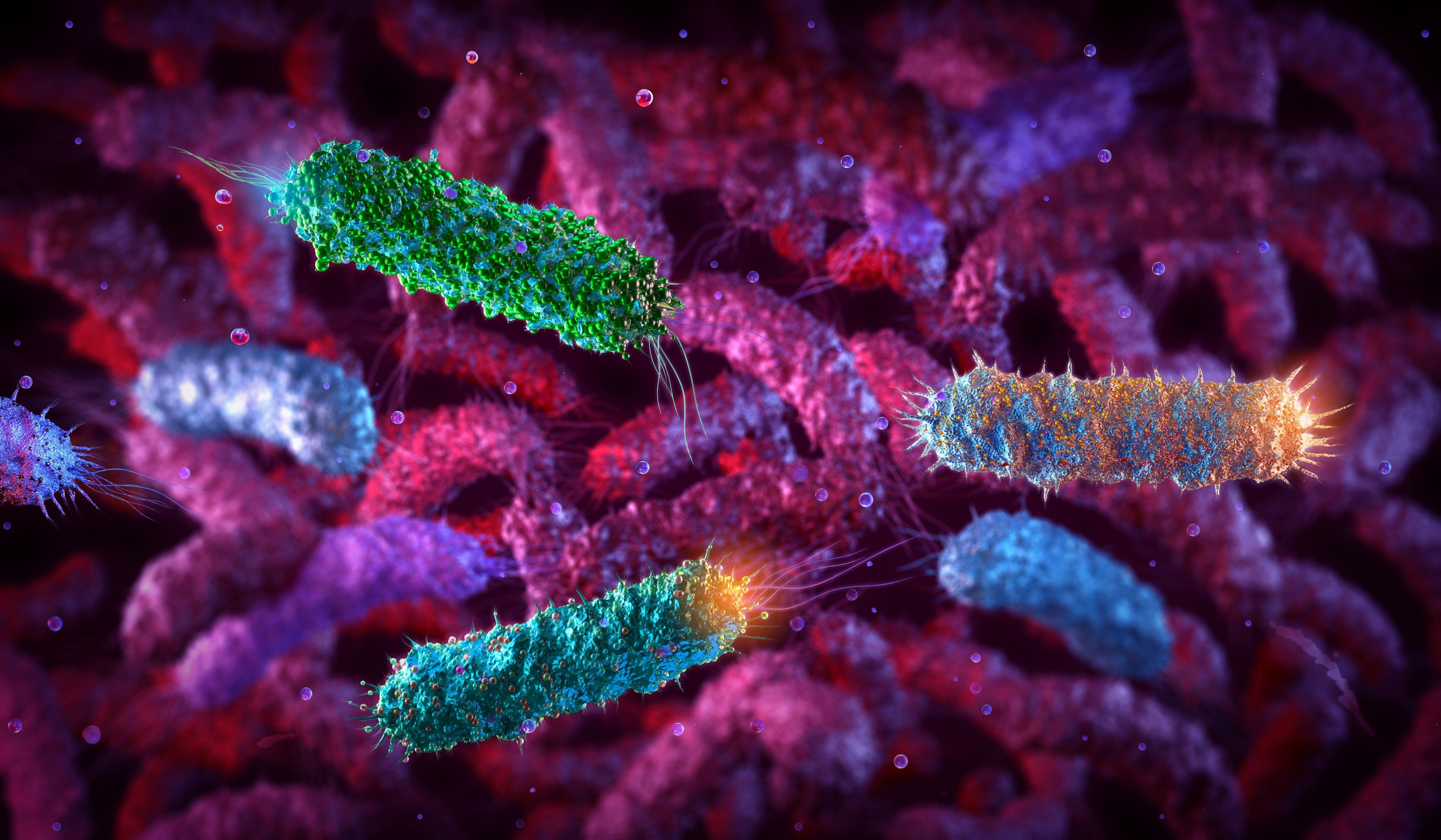 A 3D illustration of the pathogenic rod-shaped E coli bacteria. Photo: Shutterstock