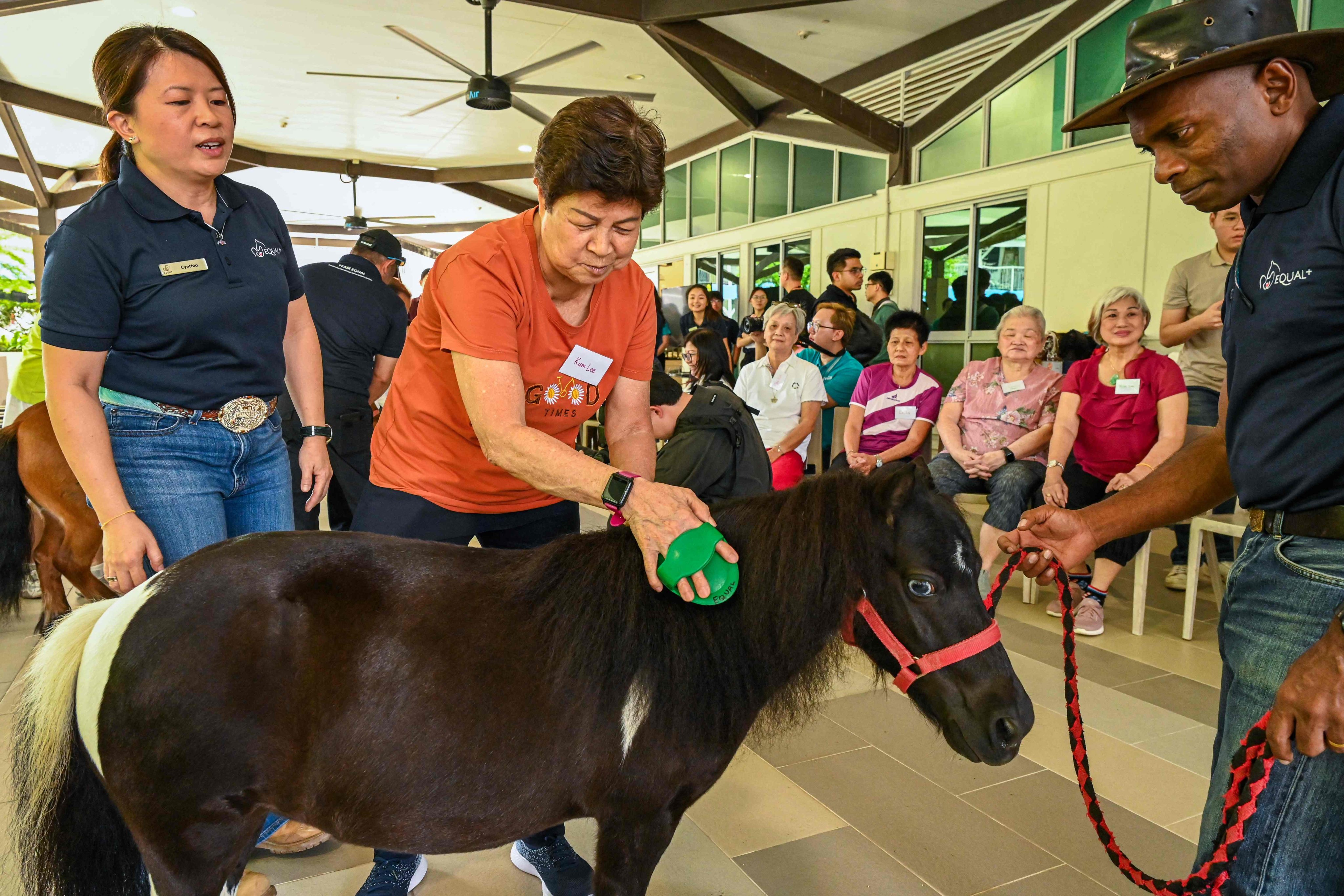 An elderly resident interacts with a miniature horse at NTUC Health Active Ageing Centre in Singapore. Photo: AFP