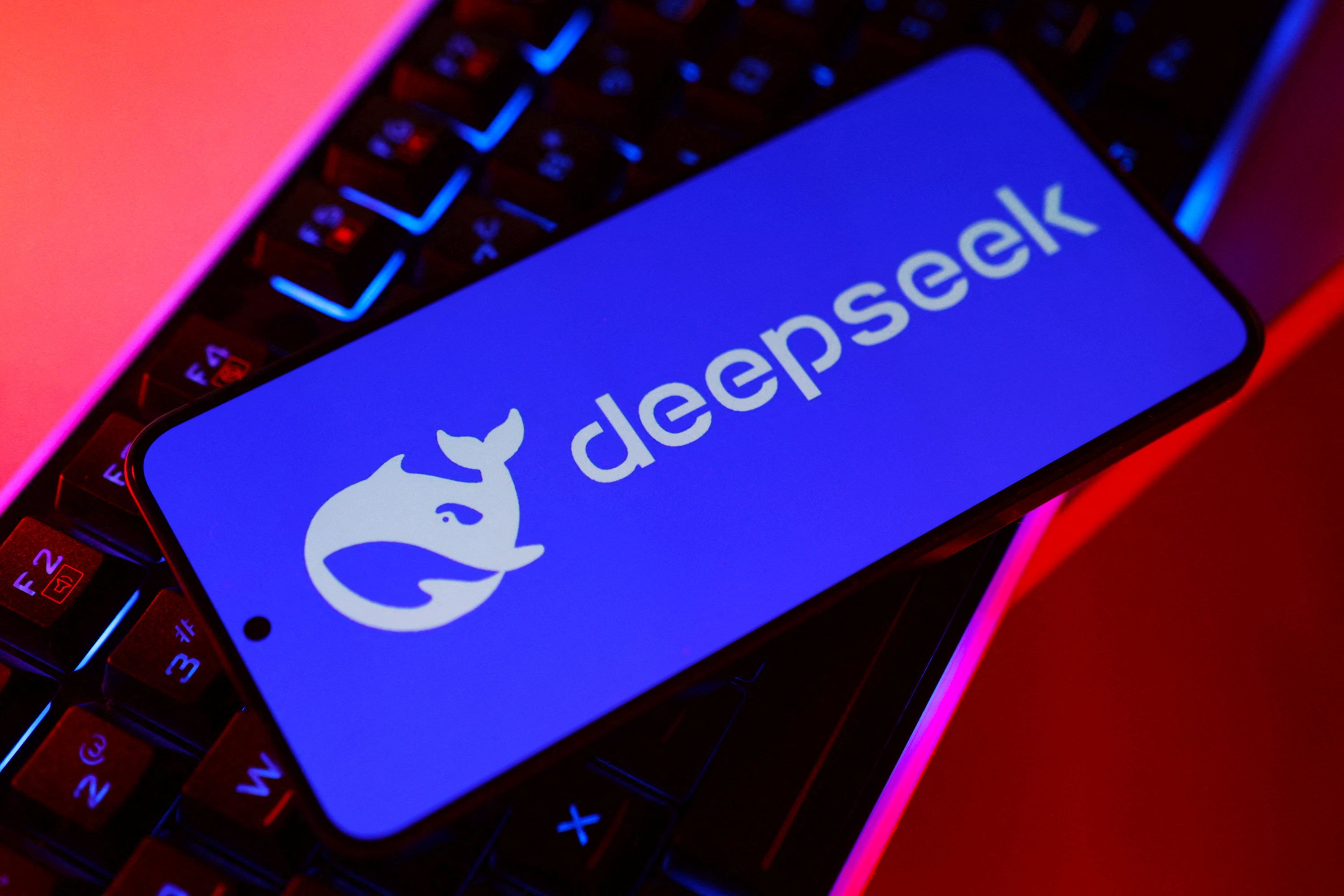 Some experts credit much of the success of AI start-up DeepSeek to Chinese character lessons during its pre-training phase. Photo: Reuters