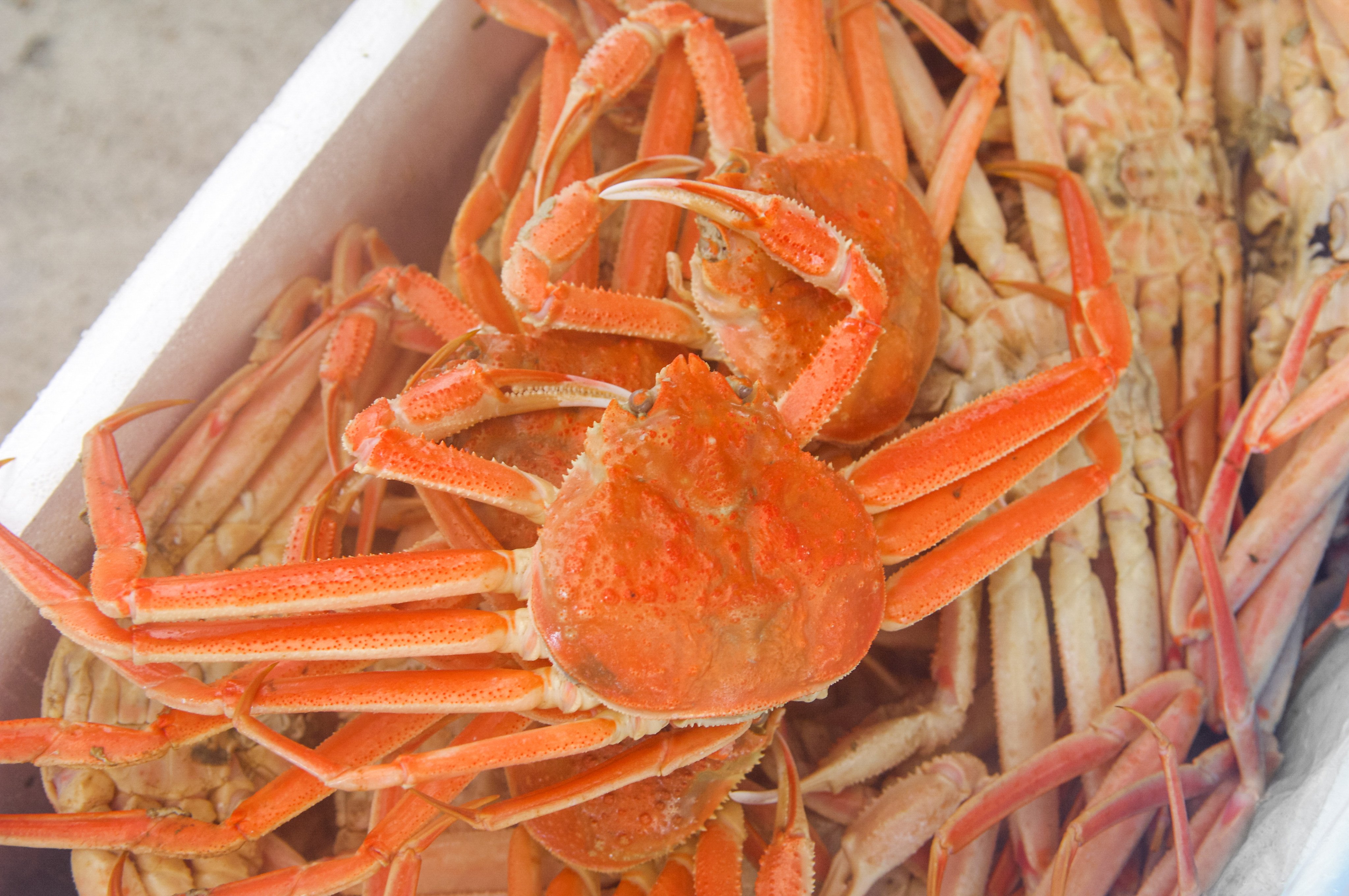 Cooked snow crabs in South Korea. Photo: Getty Images