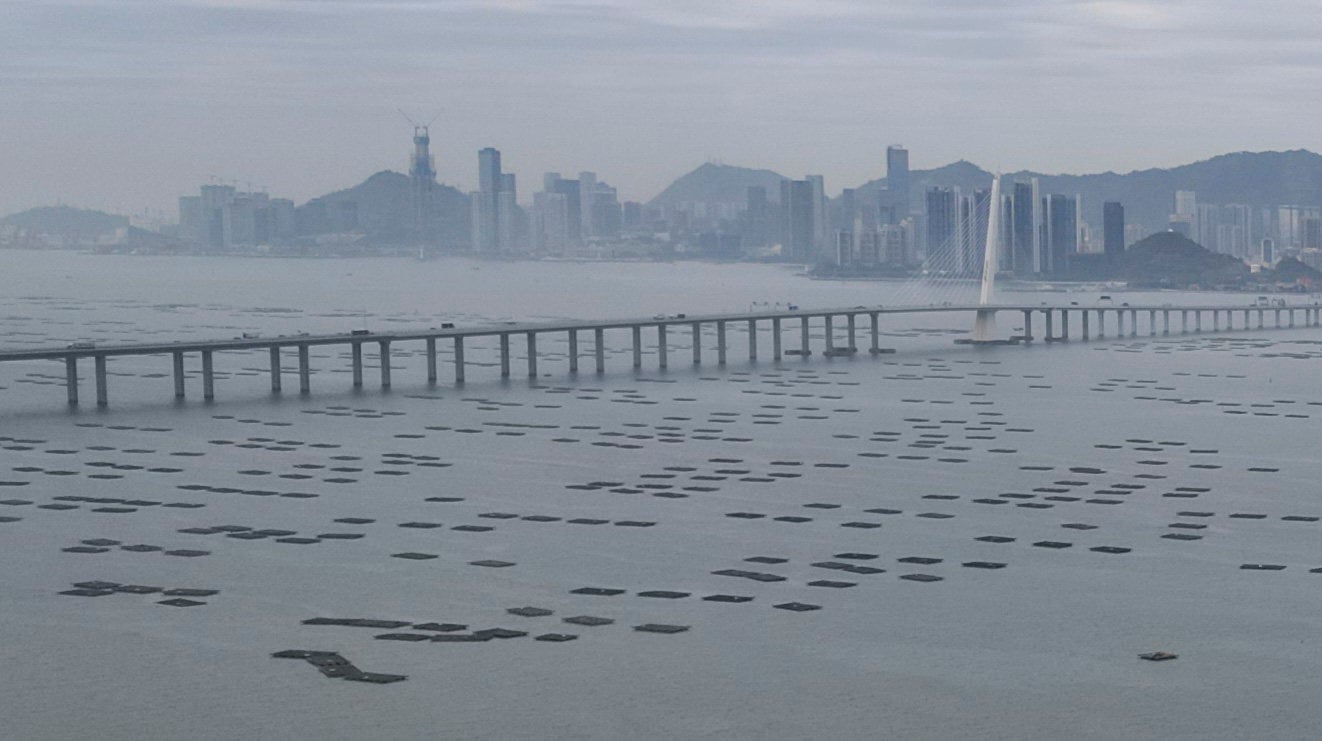 The Shenzhen Bay Bridge, seen from Deep Bay, off Lau Fau Shan in Hong Kong. Photo: May Tse