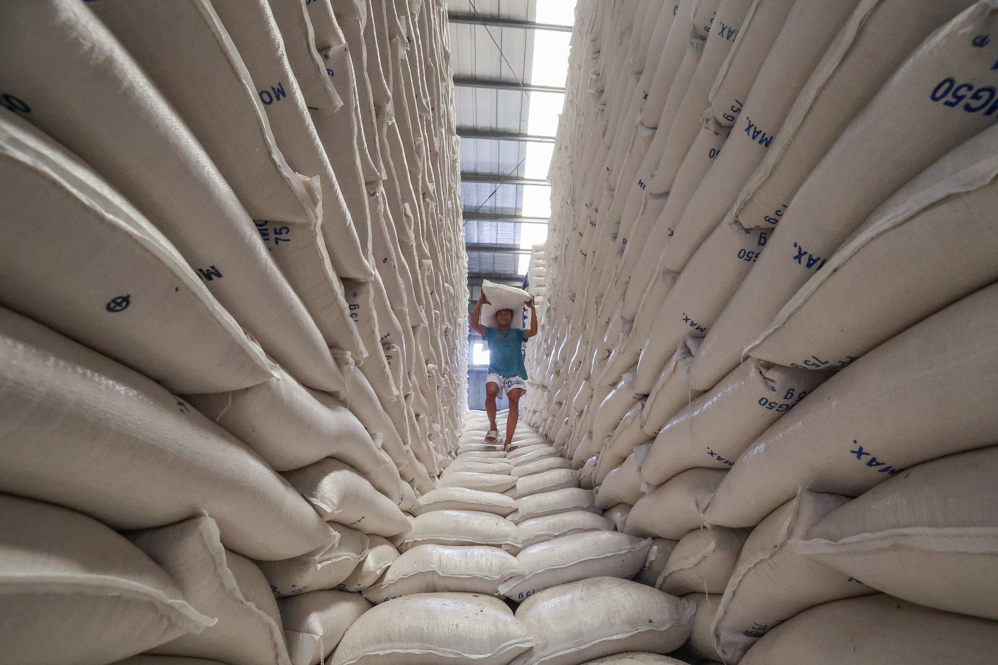 A worker carries a sack of rice inside the National Food Authority warehouse in Valenzuela City, the Philippines, on February 4. Photo: Xinhua