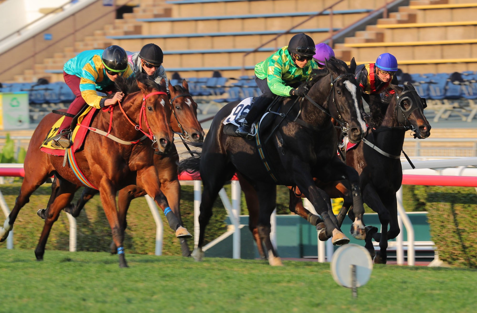 Midori Giant (green and gold colours) in action in a Sha Tin trial last month. Midori Giant (green and gold colours) in action in a Sha Tin trial last month.